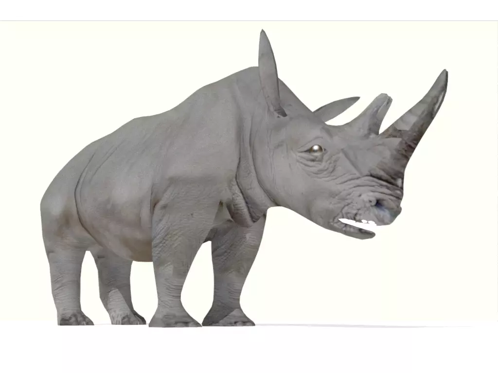 rhino lowpoly rhinoceros Low-poly 3D model