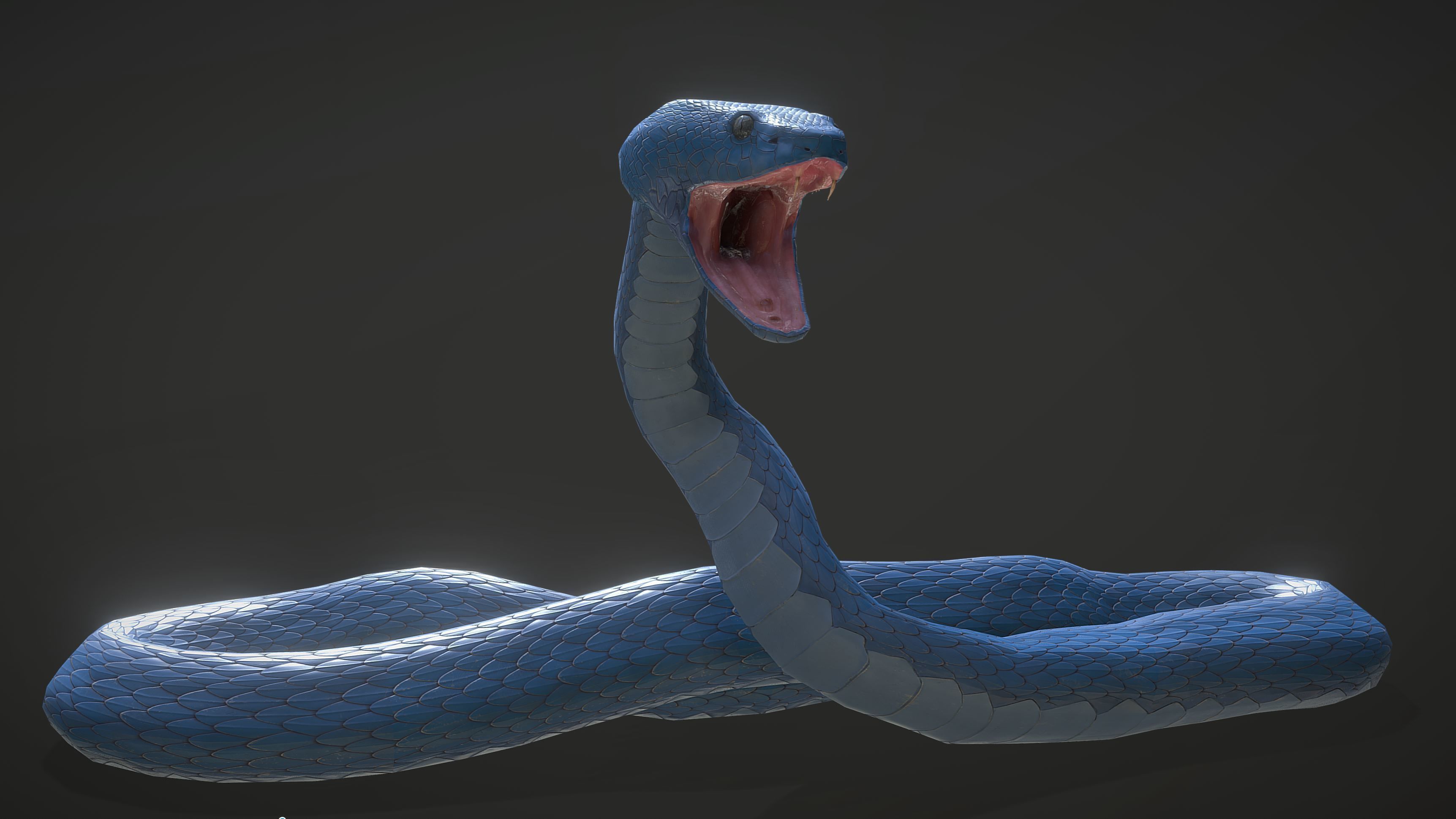 Snake - Blue Viper with animations Low-poly 3D model_5