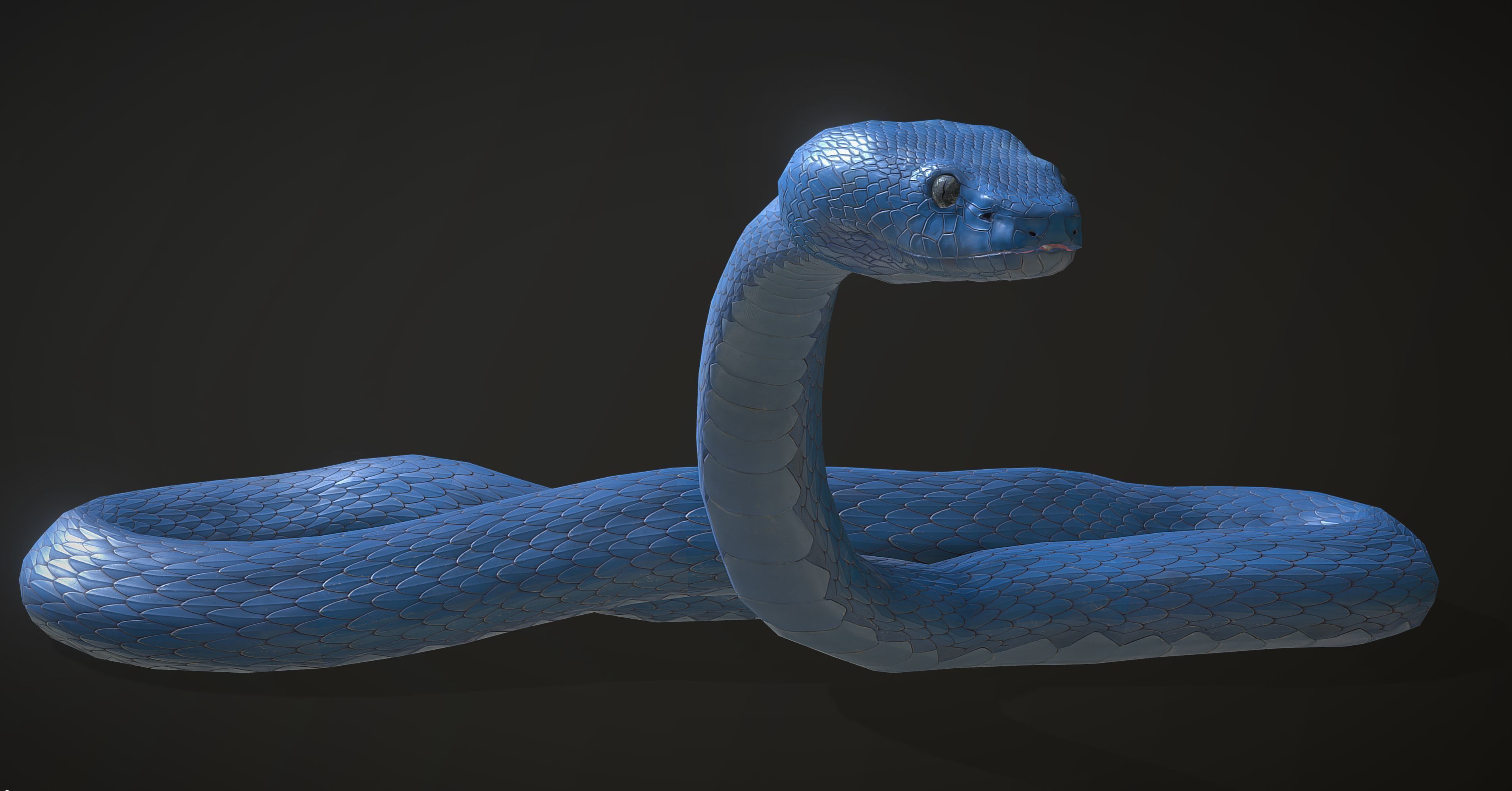 Snake - Blue Viper with animations Low-poly 3D model_1