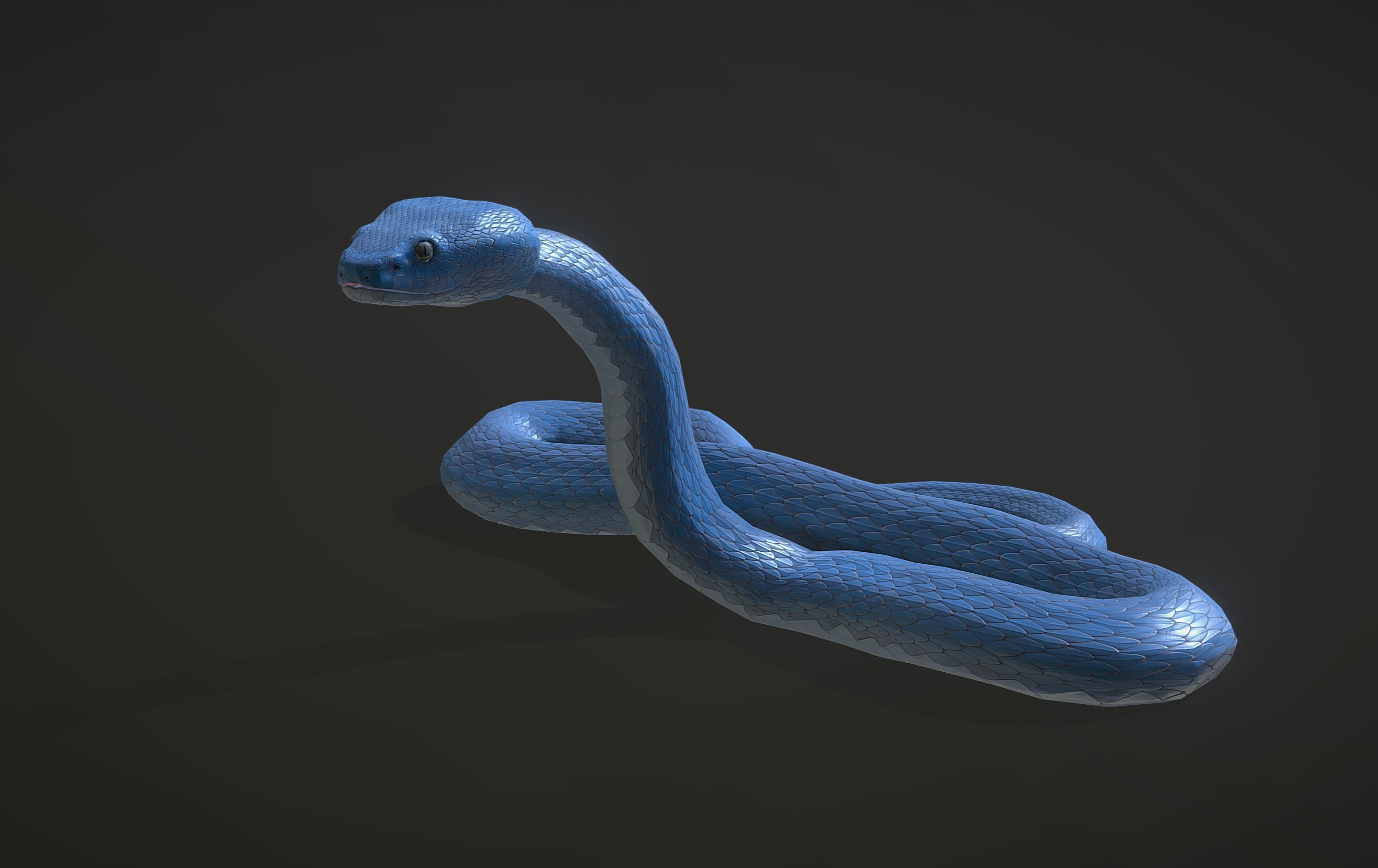 Snake - Blue Viper with animations Low-poly 3D model_4