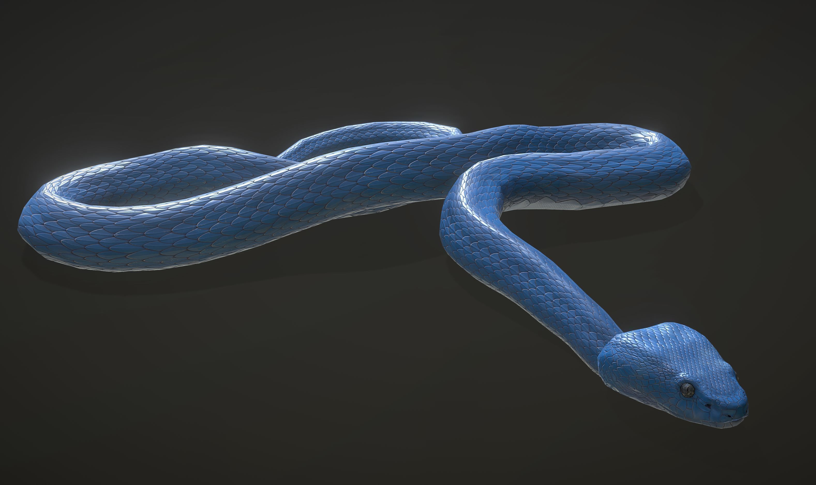 Snake - Blue Viper with animations Low-poly 3D model_6