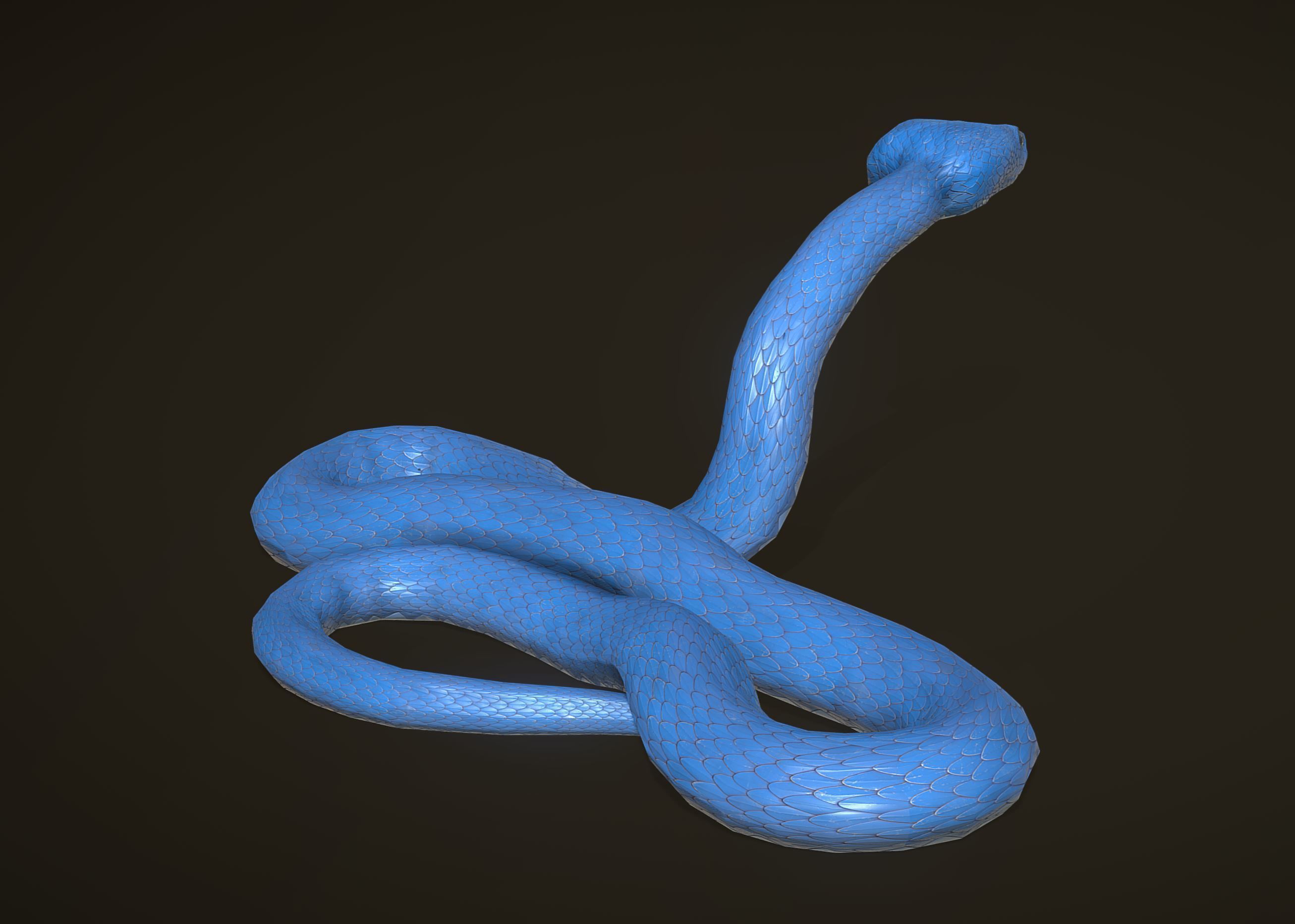 Snake - Blue Viper with animations Low-poly 3D model_2