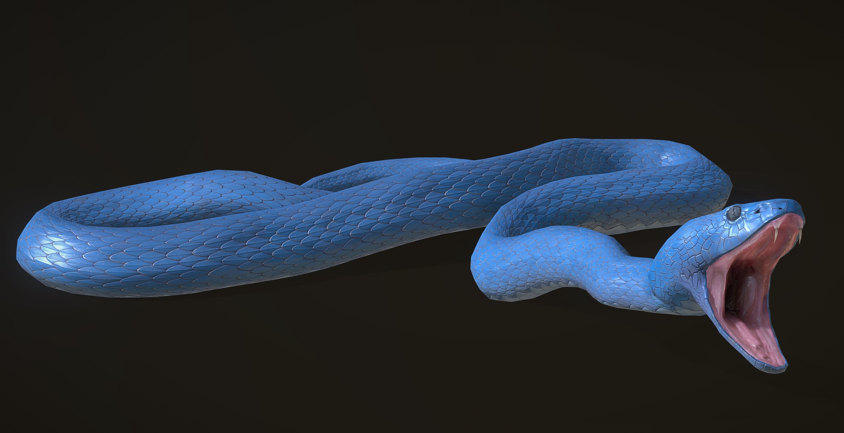 Snake - Blue Viper with animations Low-poly 3D model_10