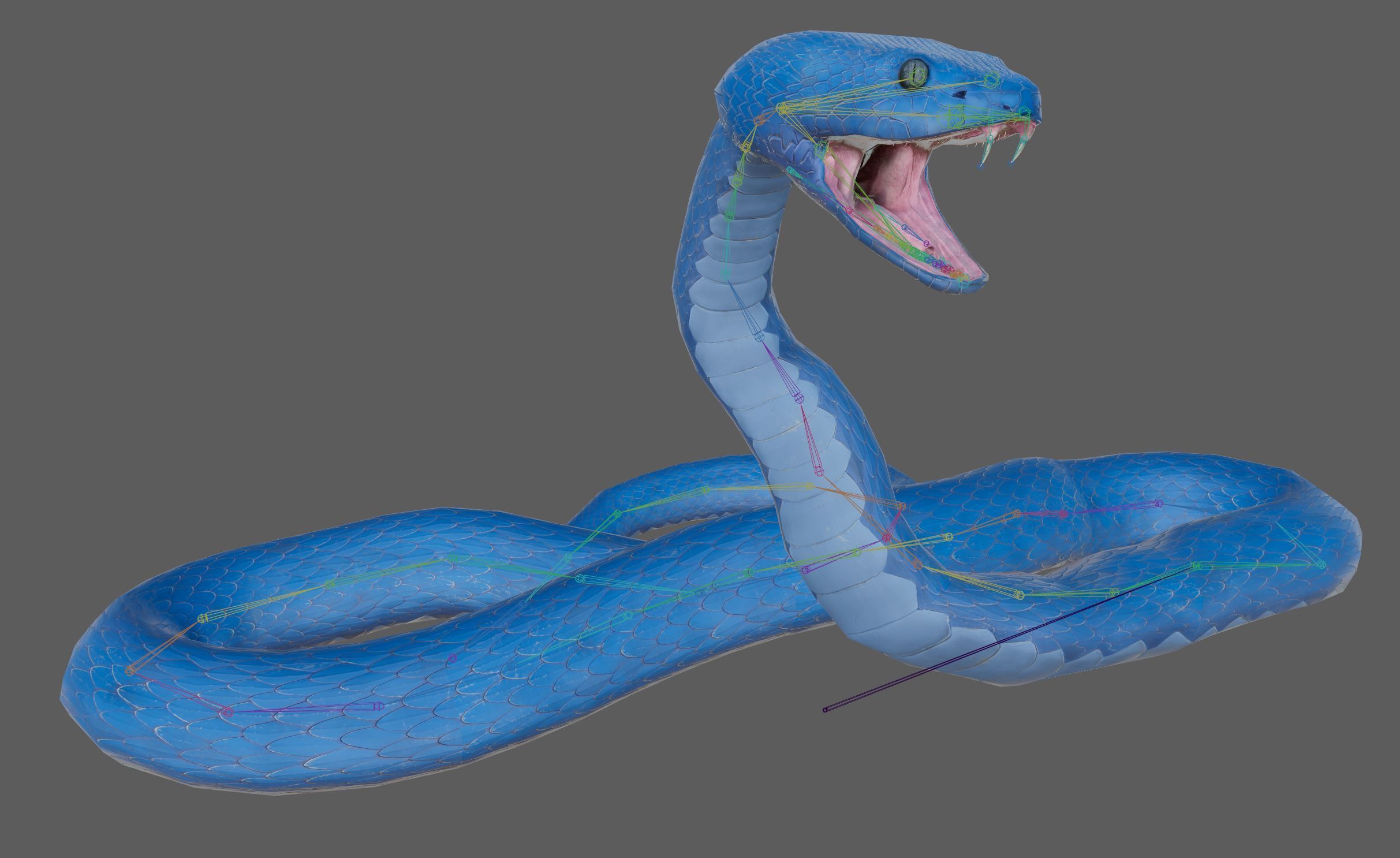 Snake - Blue Viper with animations Low-poly 3D model_21