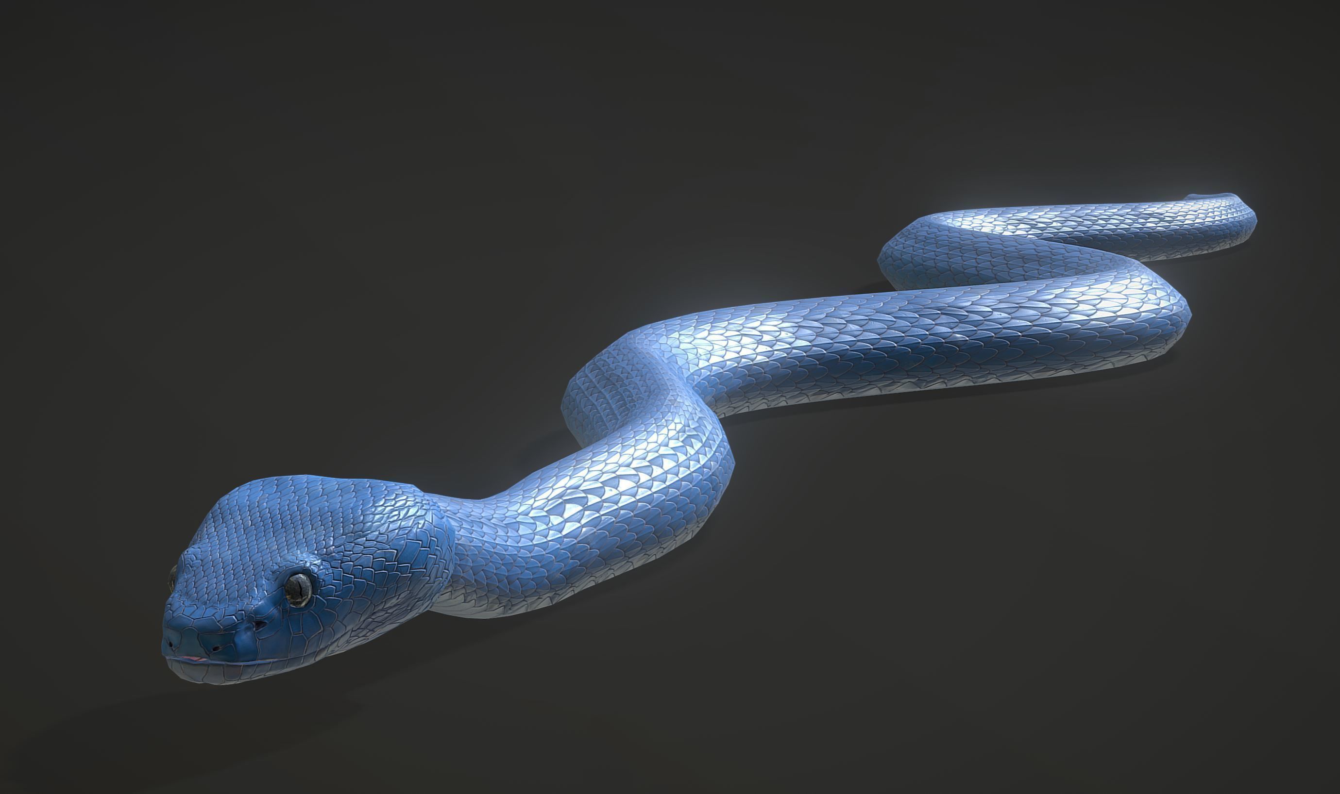 Snake - Blue Viper with animations Low-poly 3D model_7