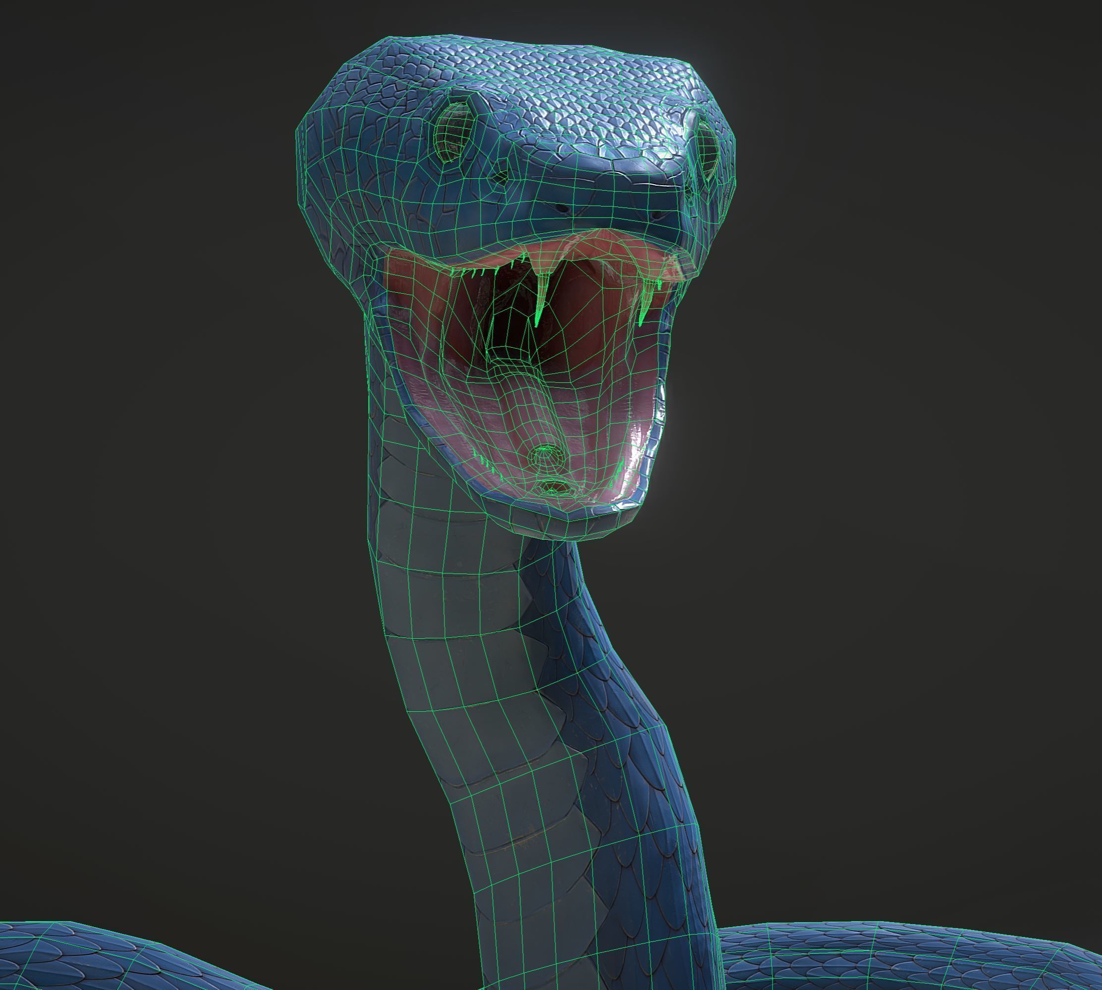 Snake - Blue Viper with animations Low-poly 3D model_26