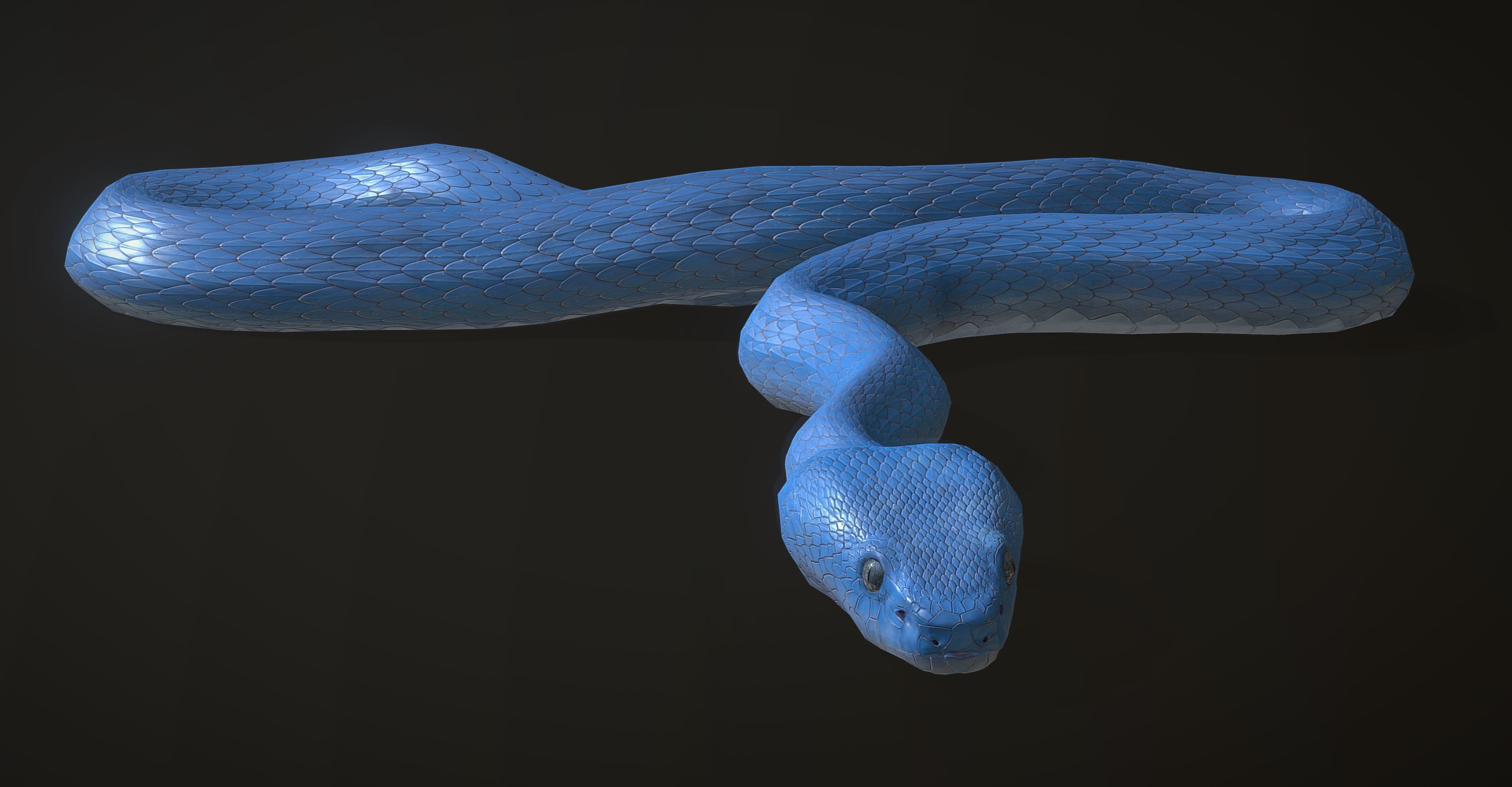 Snake - Blue Viper with animations Low-poly 3D model_12