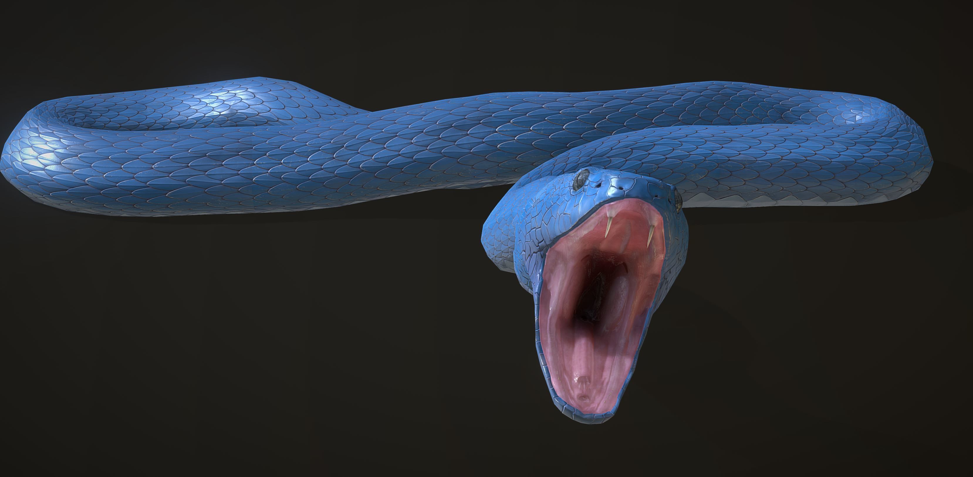 Snake - Blue Viper with animations Low-poly 3D model_11