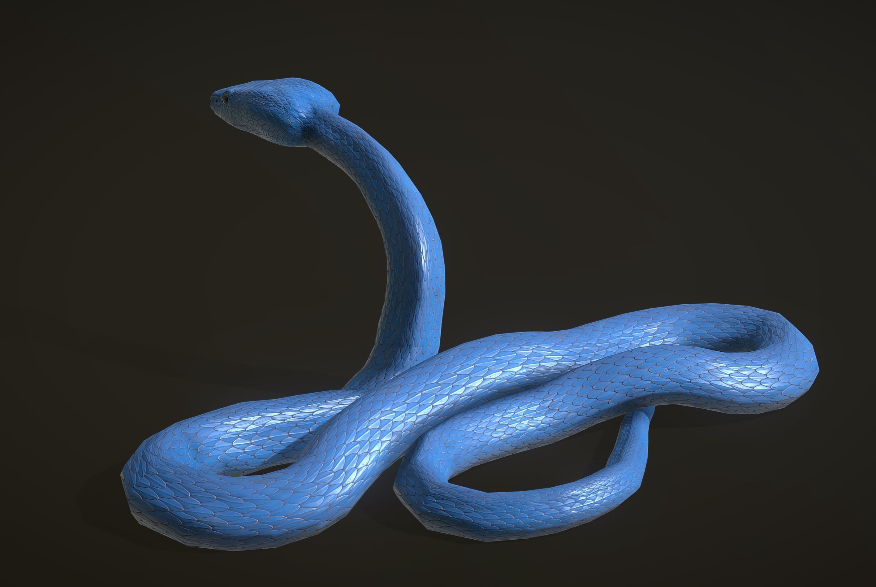 Snake - Blue Viper with animations Low-poly 3D model_3