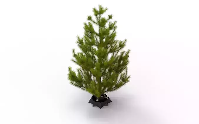 Christmas tree stand