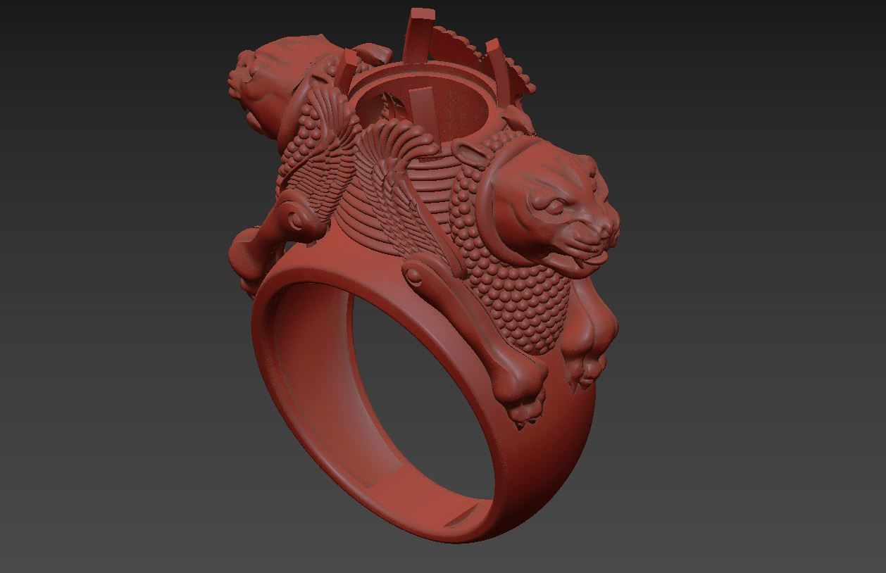 Ring R 53 3D print model_7