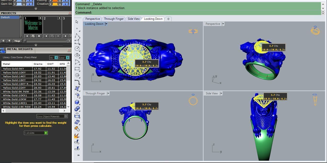 Ring R 53 3D print model_5
