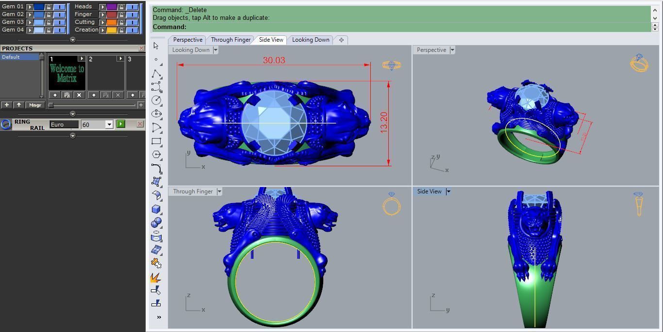 Ring R 53 3D print model_4