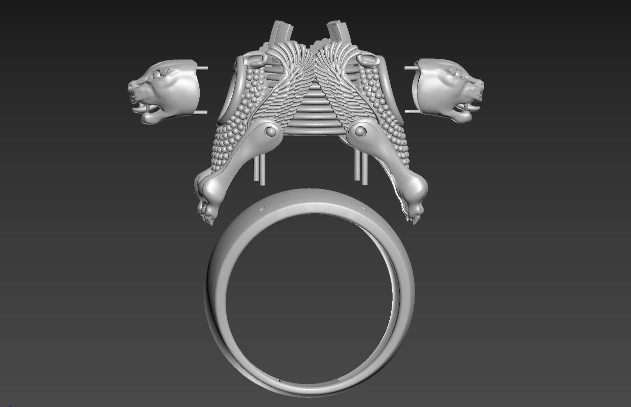 Ring R 53 3D print model_8