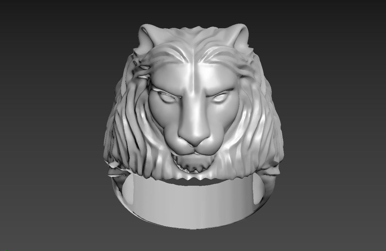 Ring R 54 3D print model_8