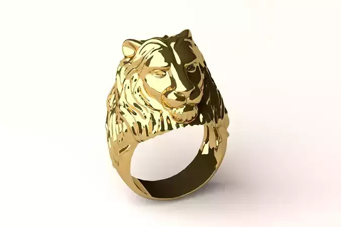 Ring R 54 3D print model