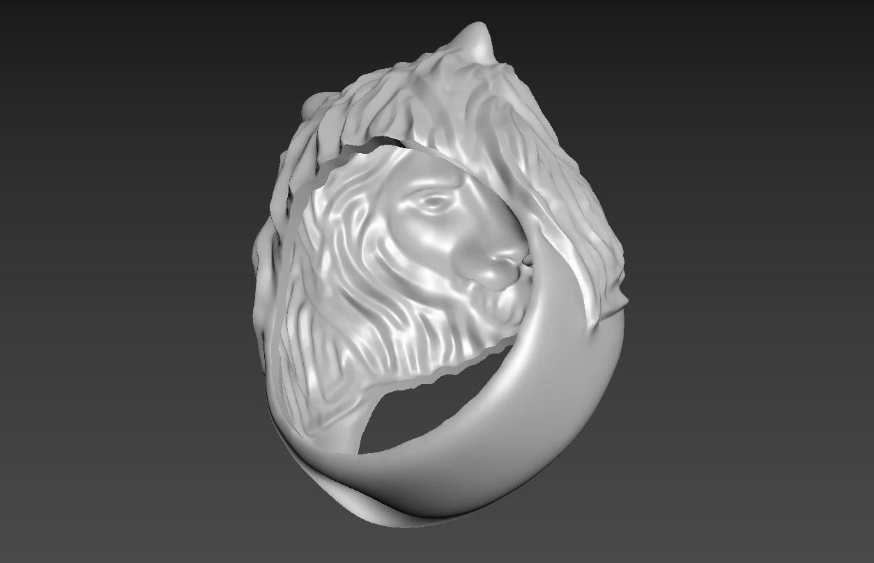 Ring R 54 3D print model_7