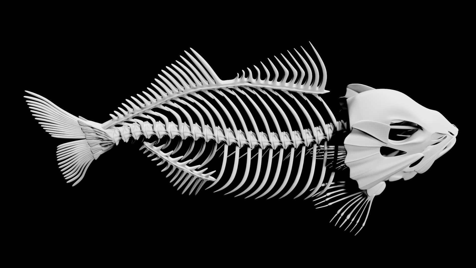 Fish skeleton Low-poly 3D model_4