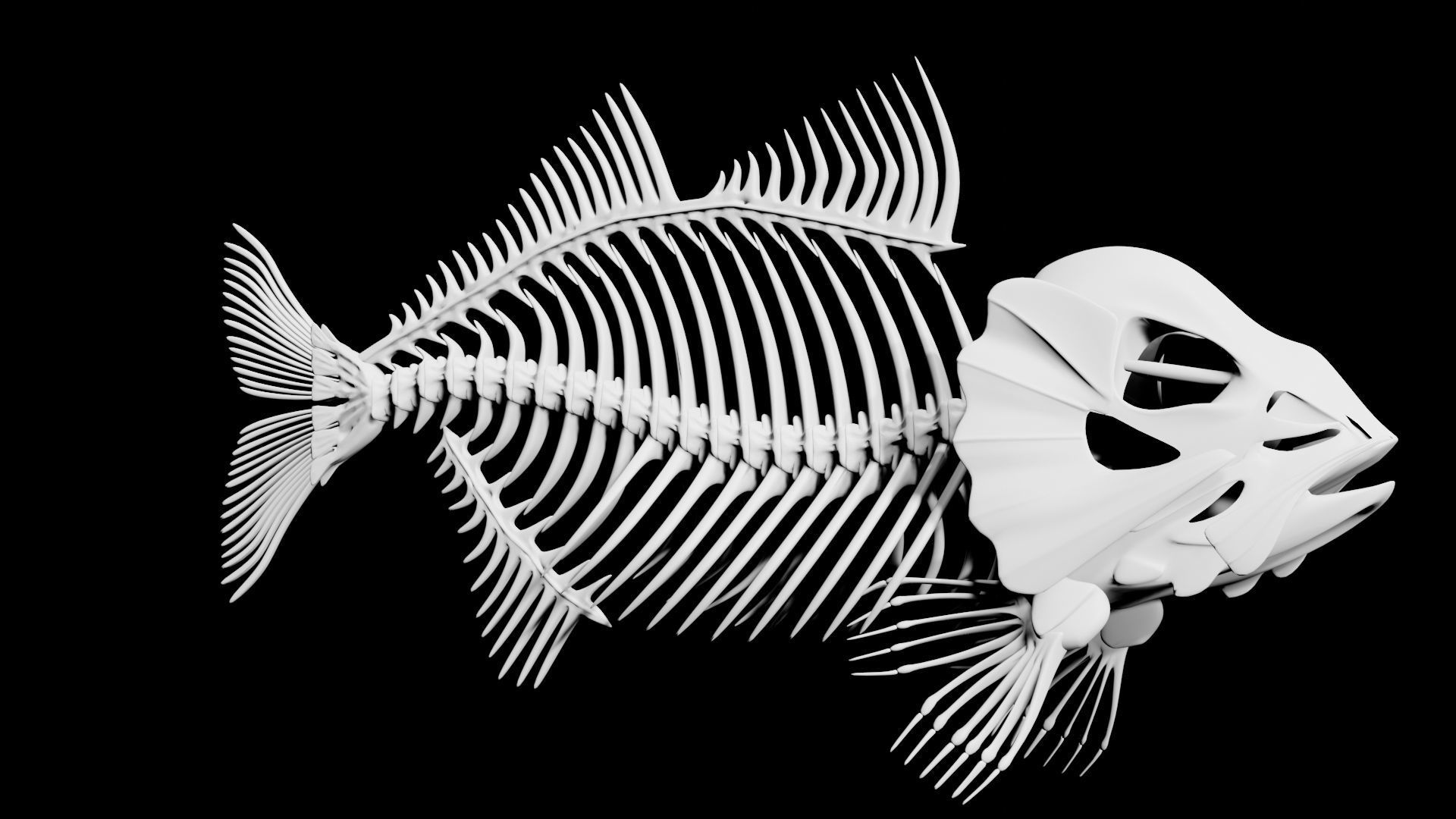 Fish skeleton Low-poly 3D model_1