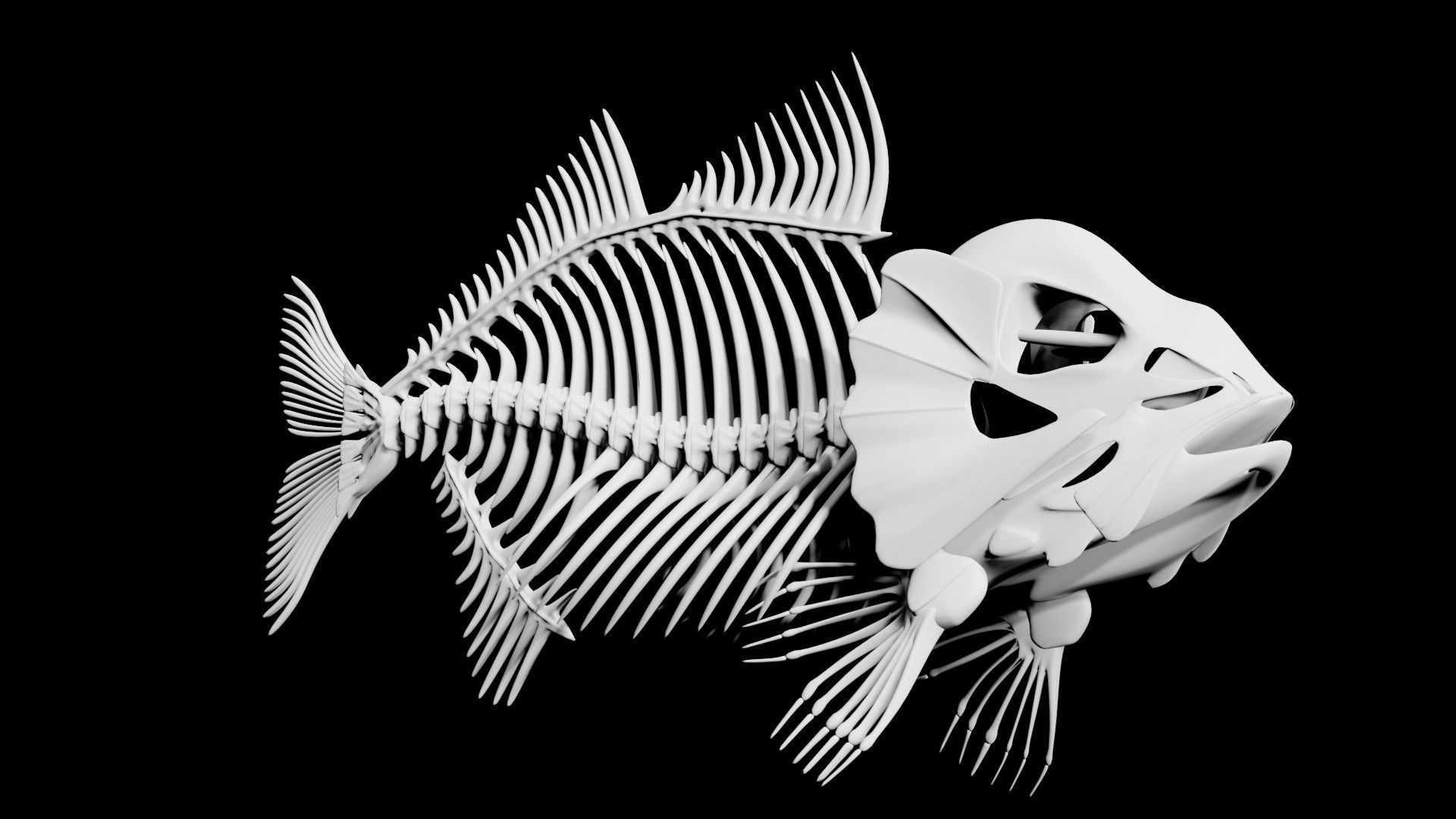 Fish skeleton Low-poly 3D model_3