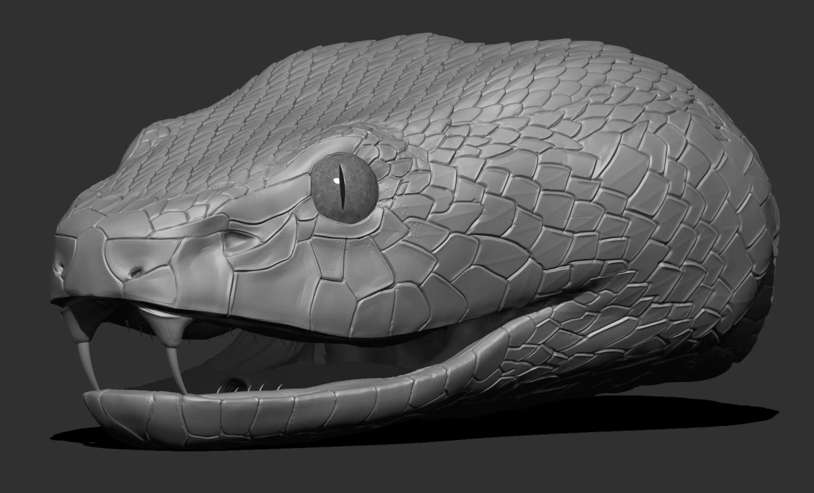 Snake Heads - 3D Printable 3D print model