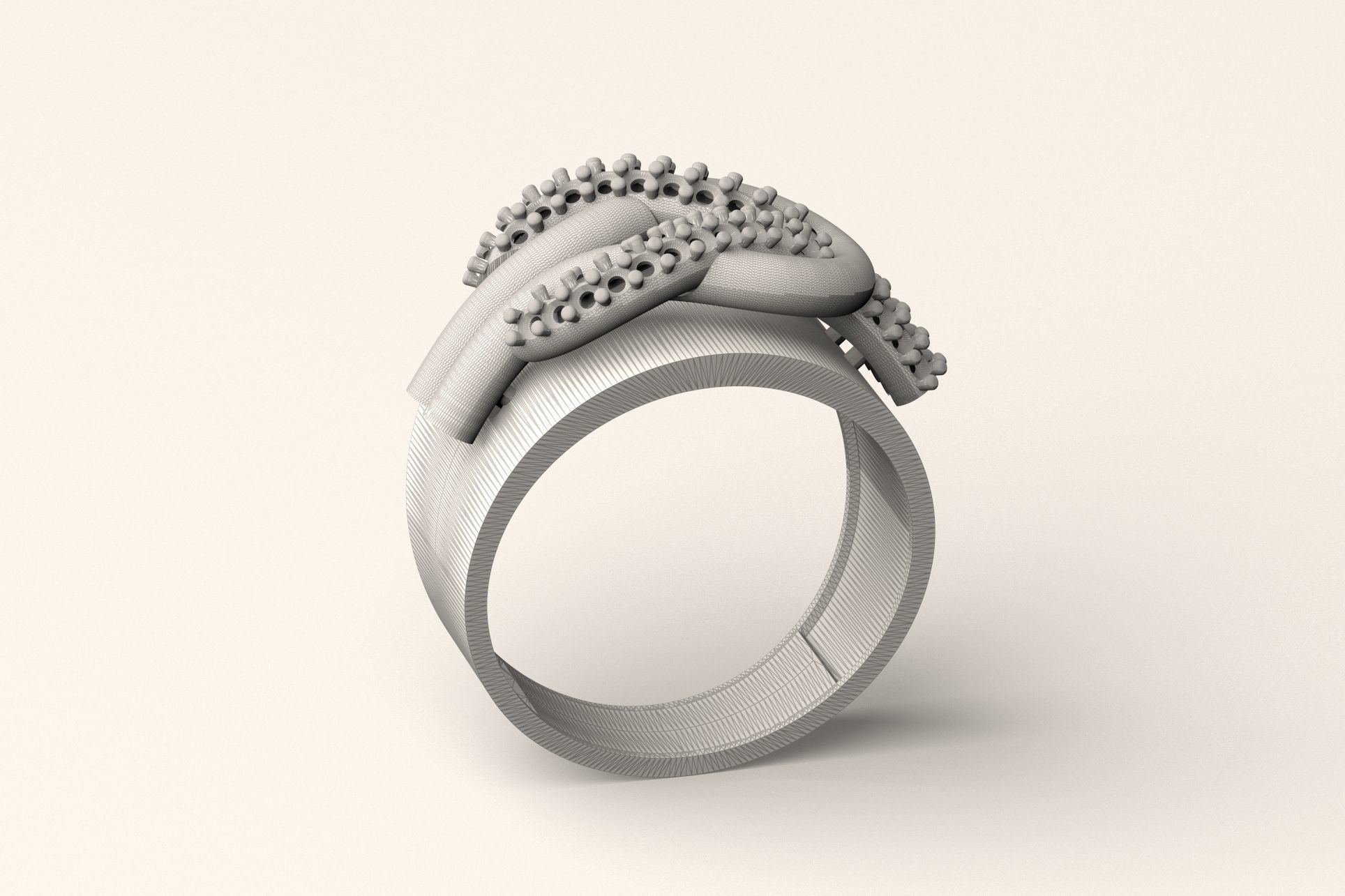 Ring R 50 3D print model_2