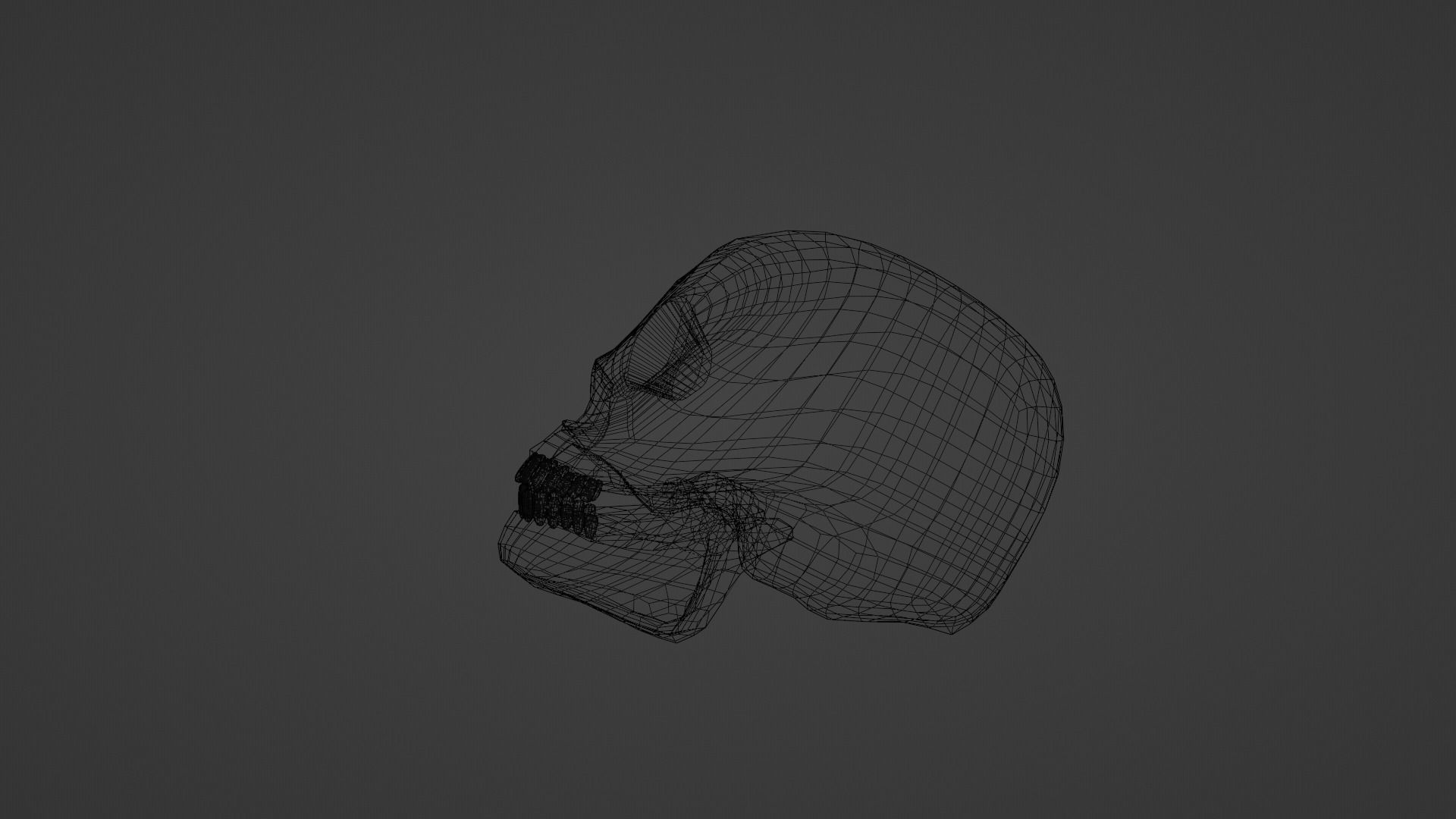 Skull 3D Model Free low-poly 3D model_3