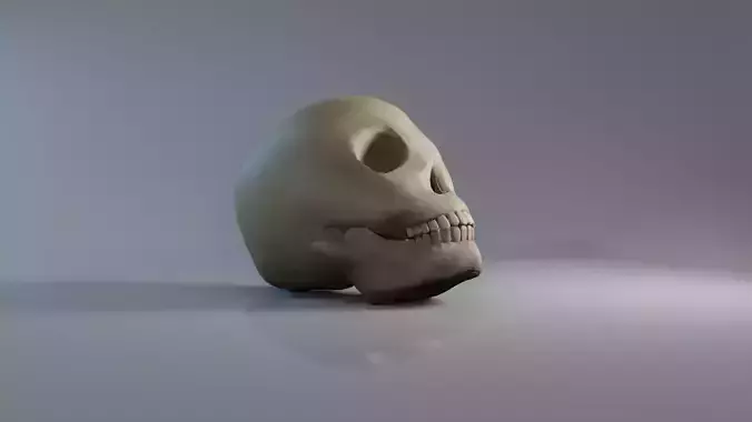 Skull 3D Model