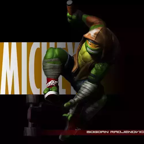 Michelangelo TMNT