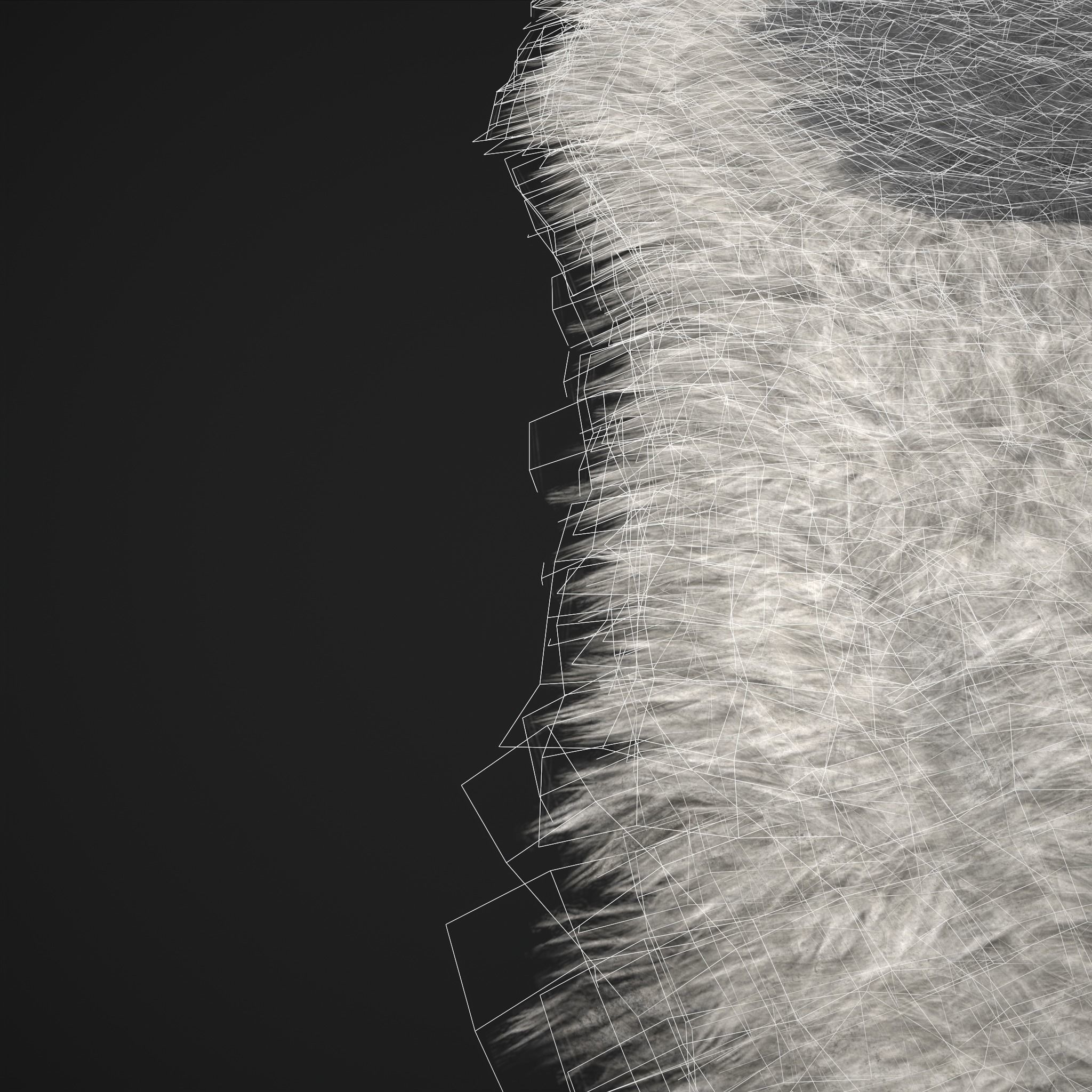 Viking Style Light Spotted Fur Low-poly 3D model_9