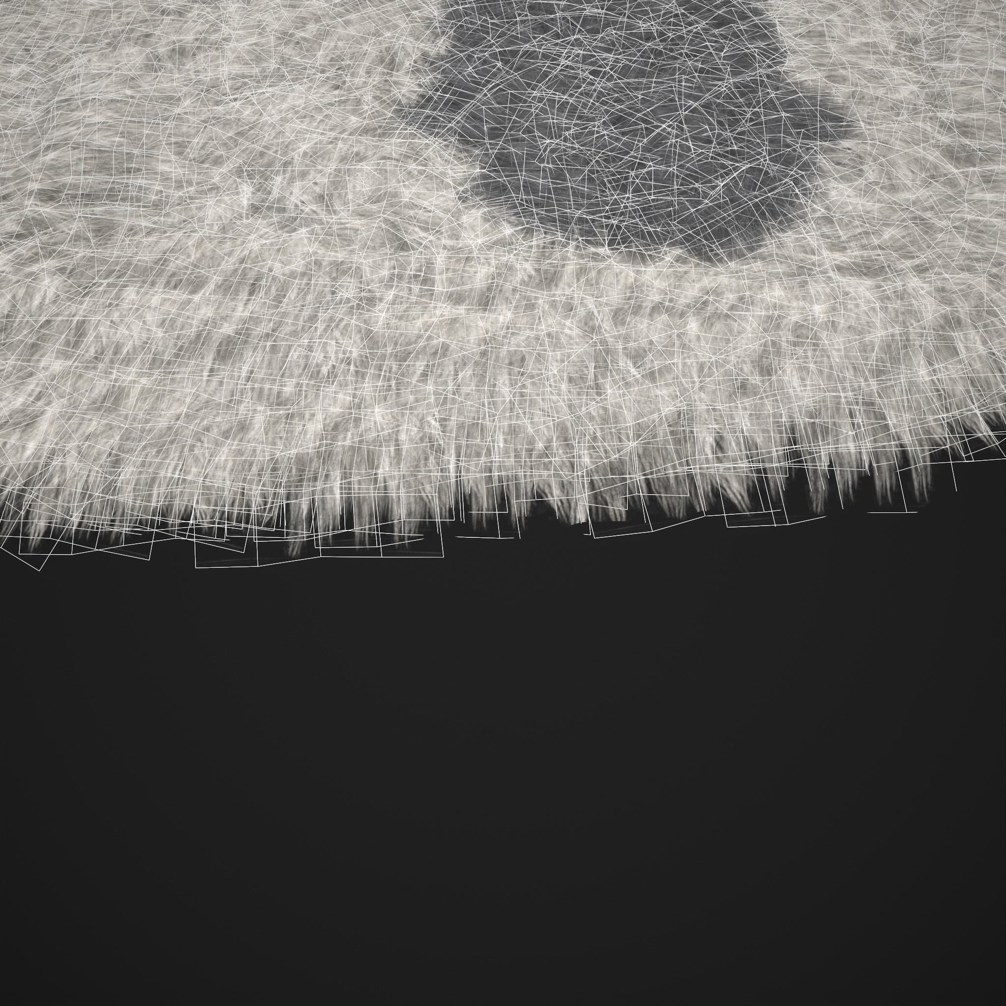 Viking Style Light Spotted Fur Low-poly 3D model_7