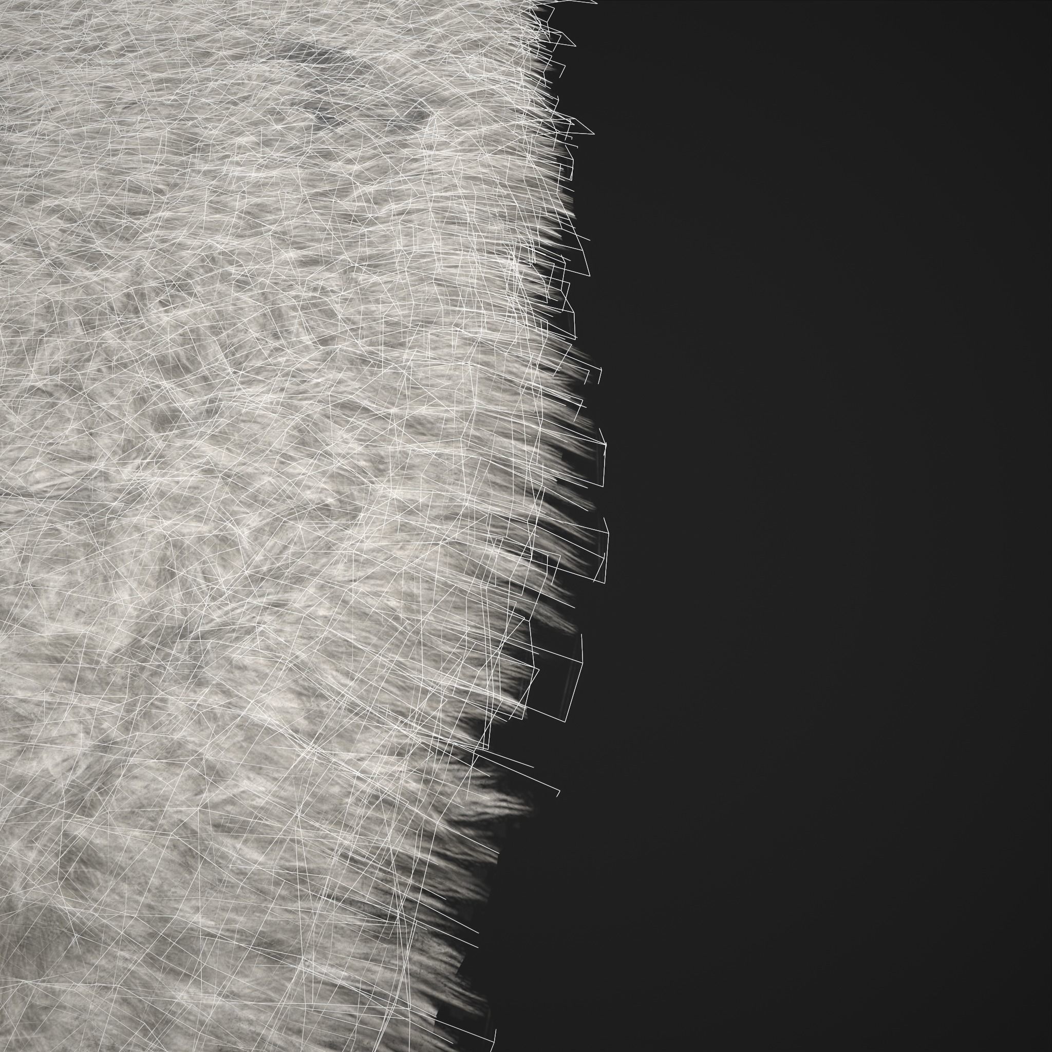 Viking Style Light Spotted Fur Low-poly 3D model_3