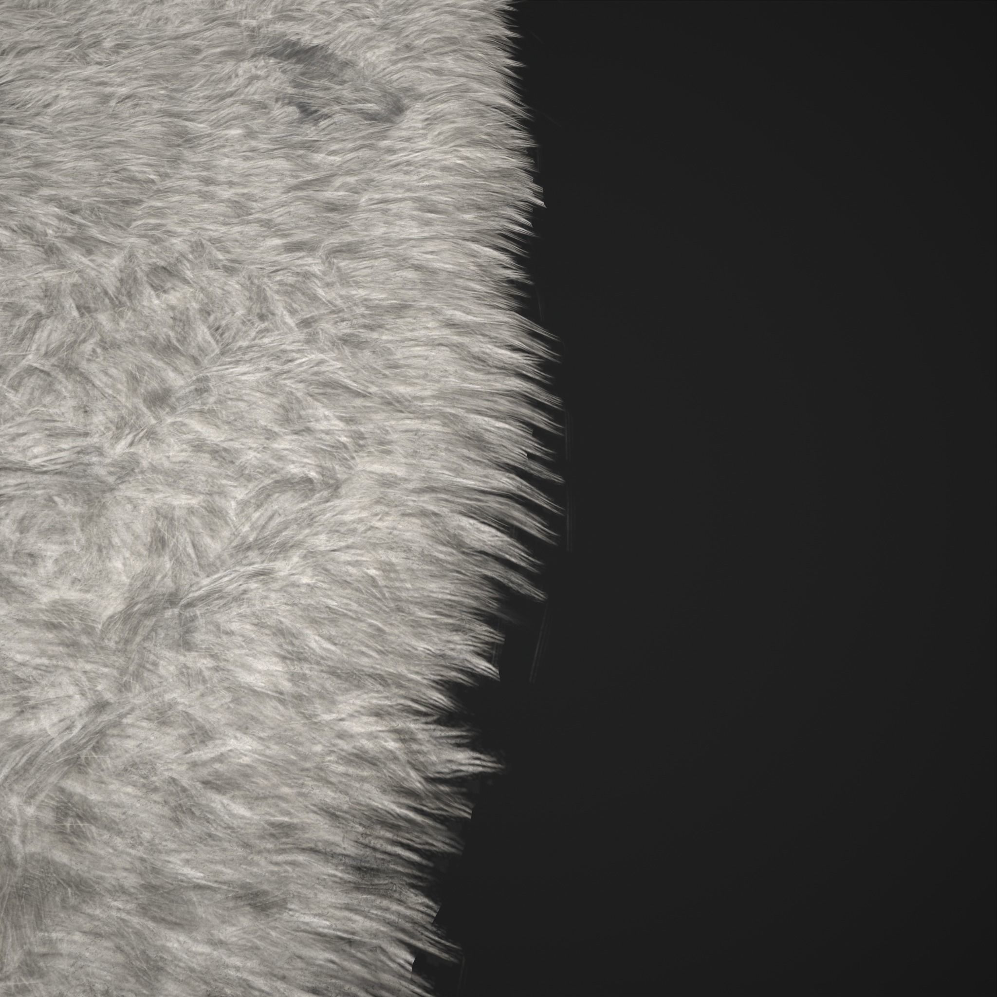 Viking Style Light Spotted Fur Low-poly 3D model_2