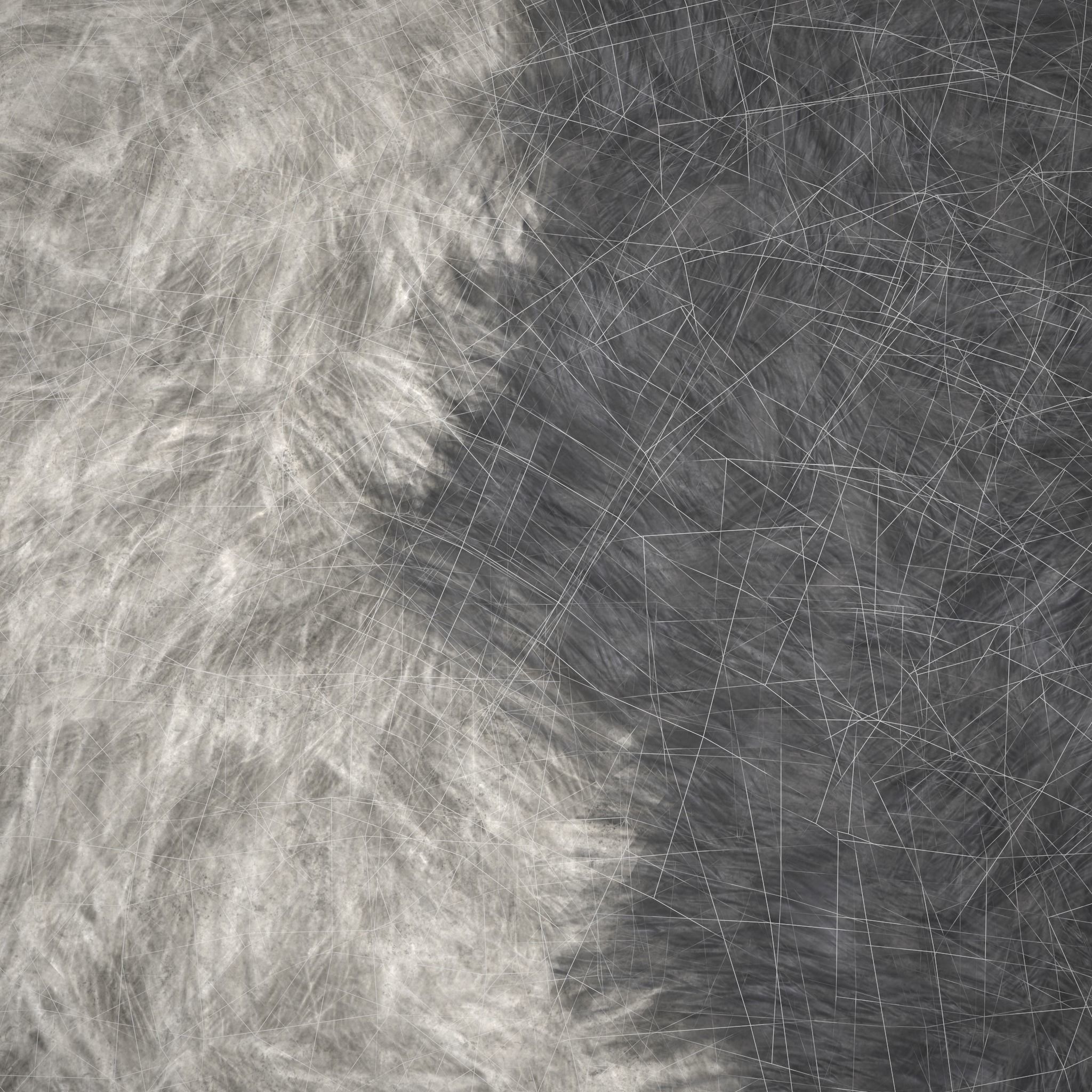 Viking Style Furs Grey and Spotted 3D Model Collection_13