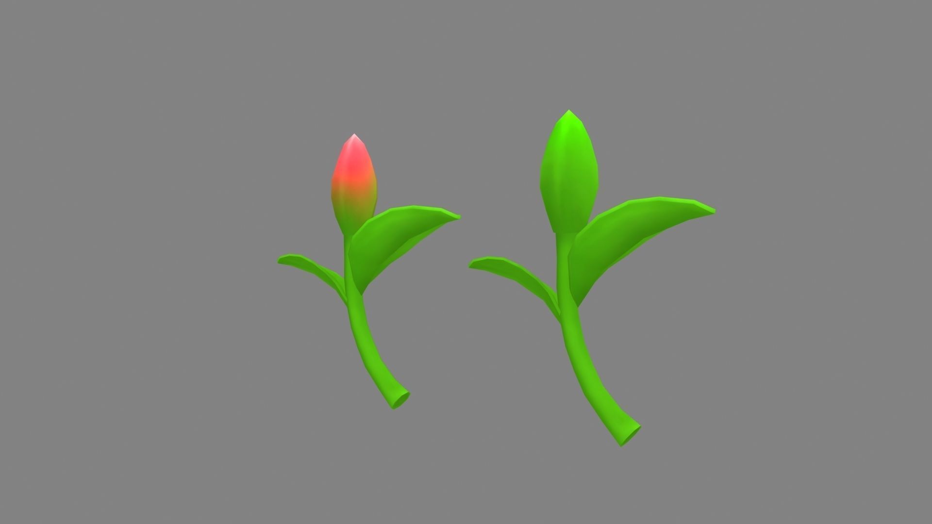 Cartoon sprout Low-poly 3D model_2