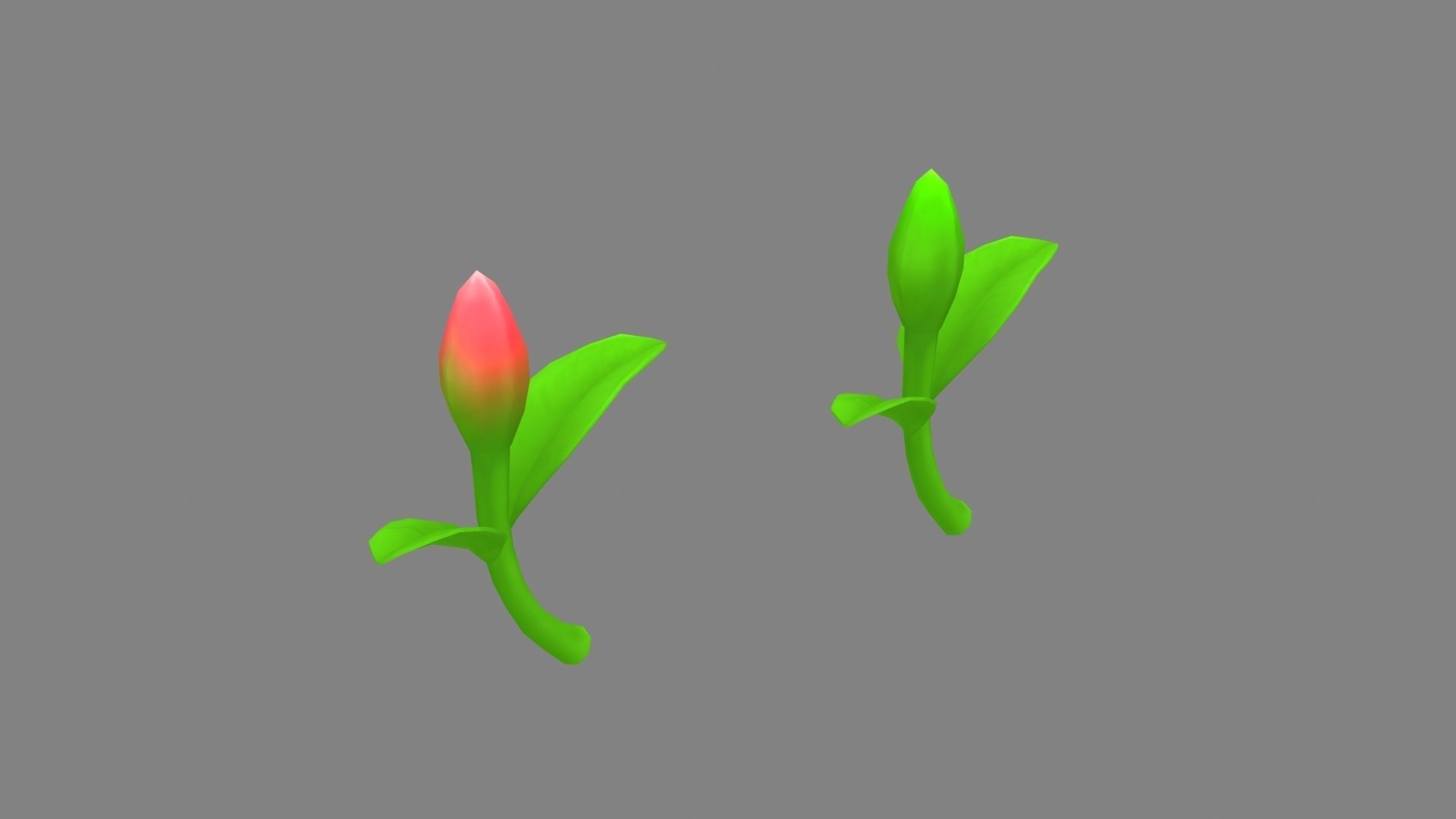 Cartoon sprout Low-poly 3D model_1