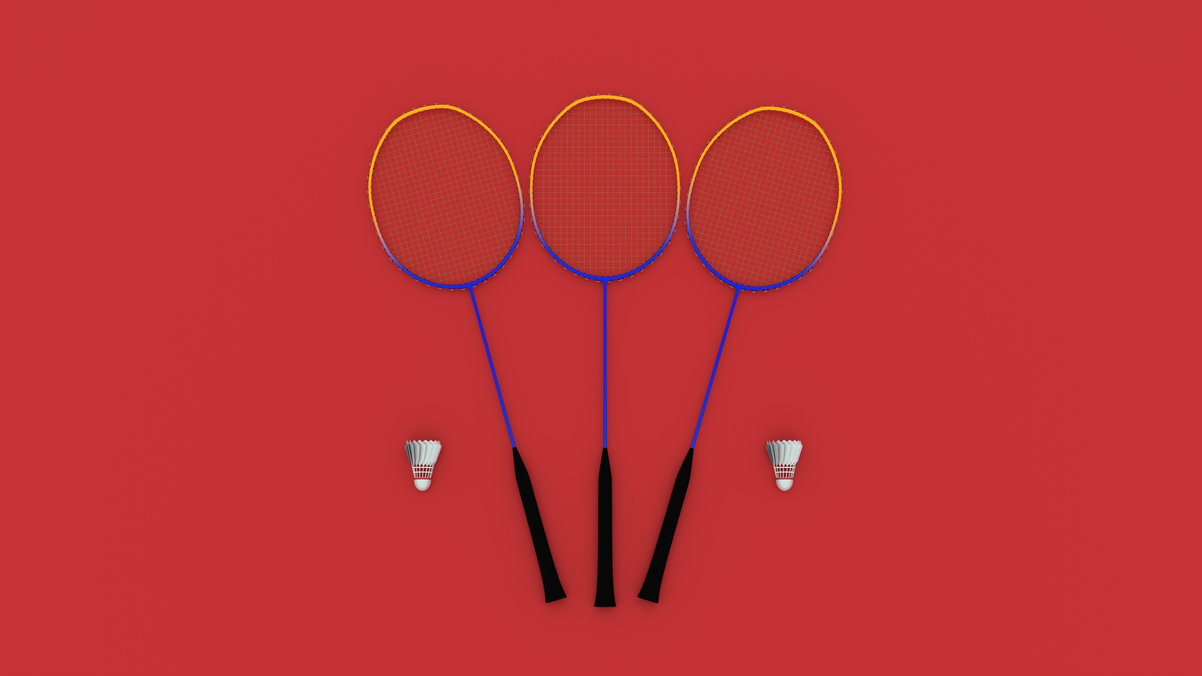 Badminton court Racket and shuttlecock Low-poly 3D model_2