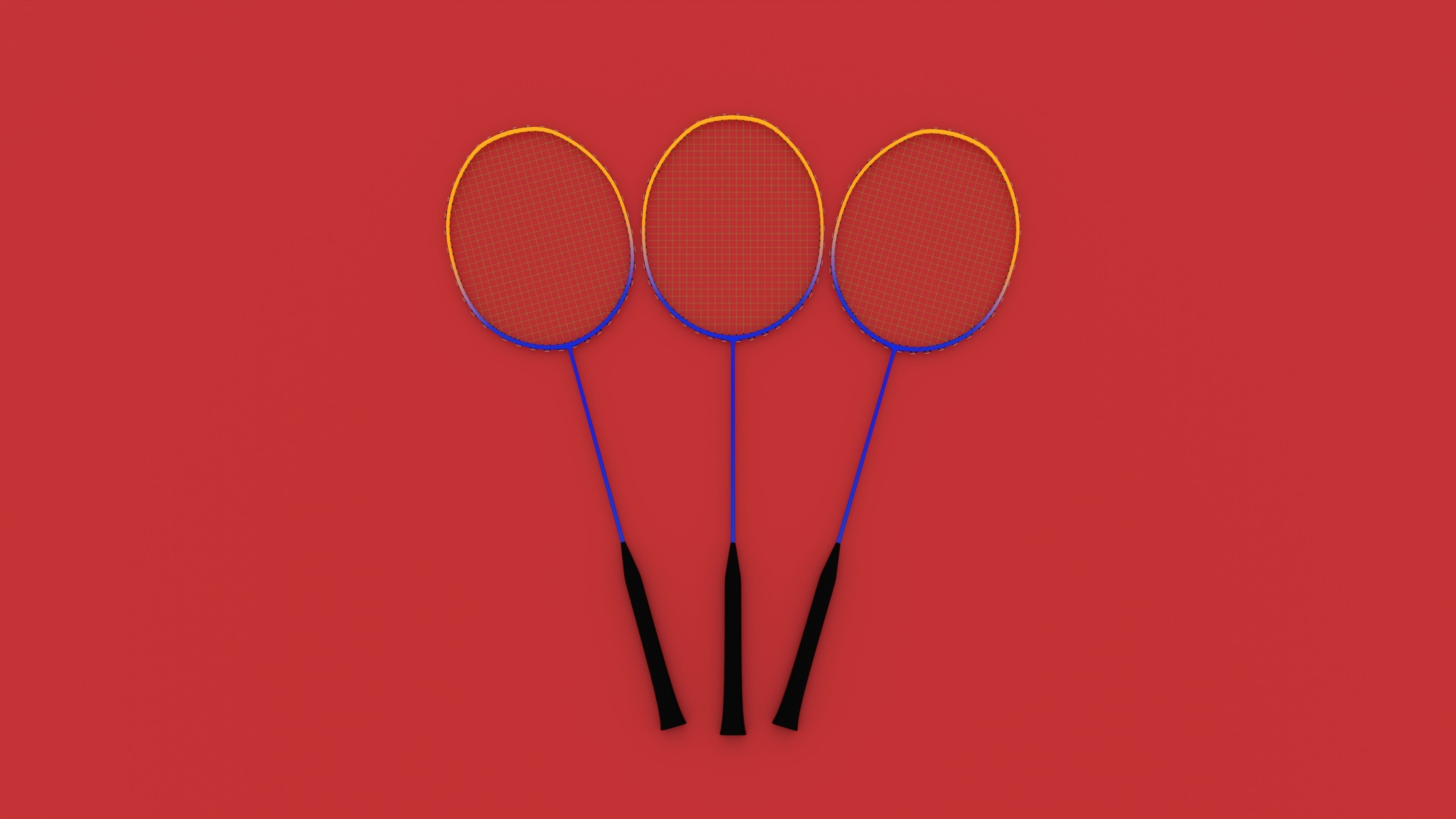 Badminton court Racket and shuttlecock Low-poly 3D model_10
