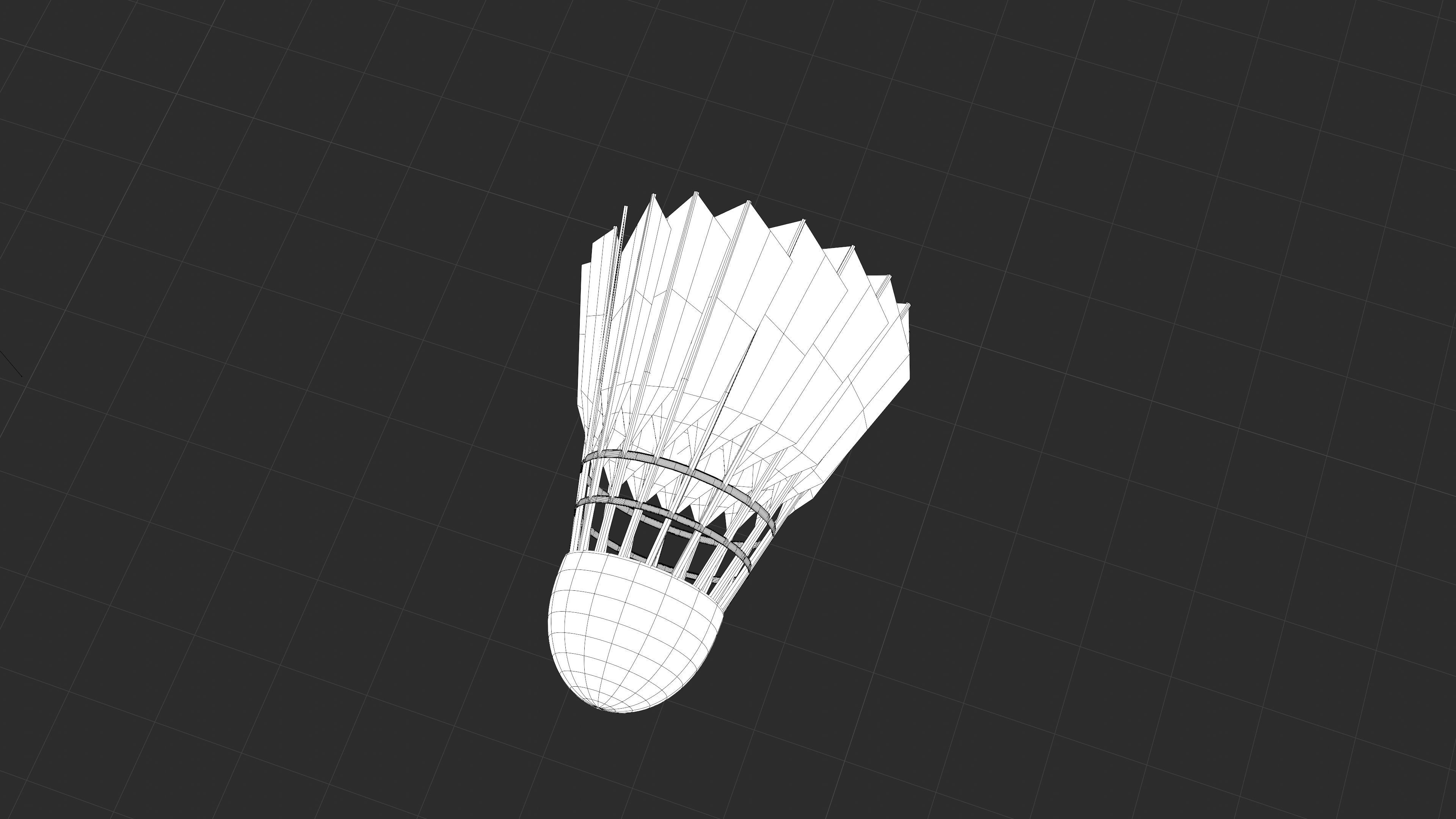 Badminton court Racket and shuttlecock Low-poly 3D model_4