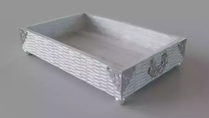 Curiosities Tray Large Silver