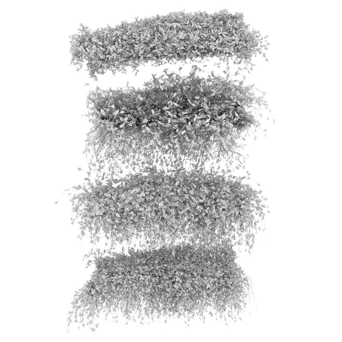 Collection plant vol 273 - bush - ivy - outdoor 3D model_5