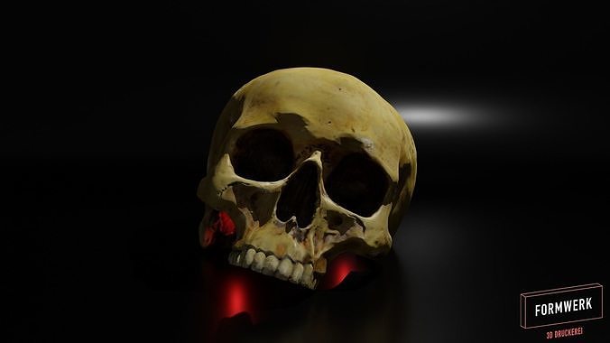 Skull 3D print model