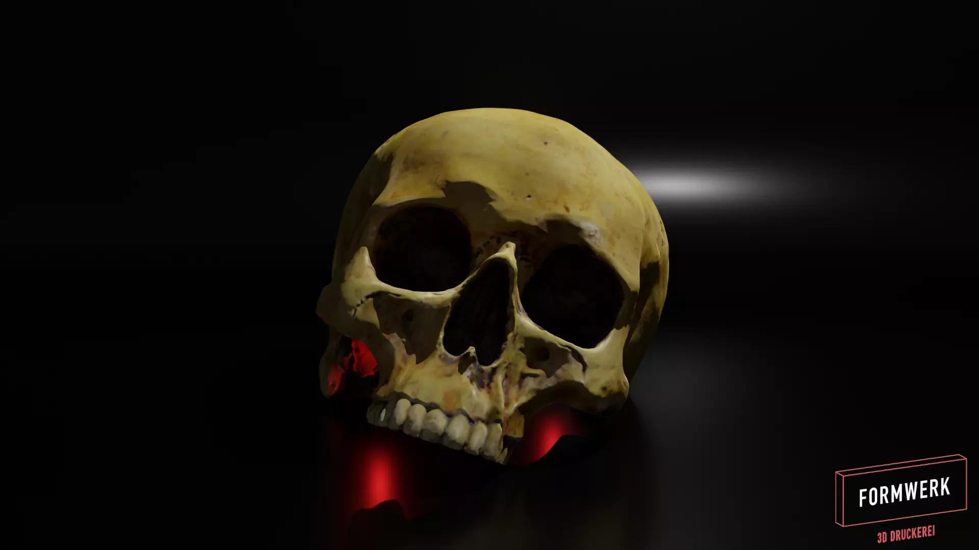 Skull 3D print model