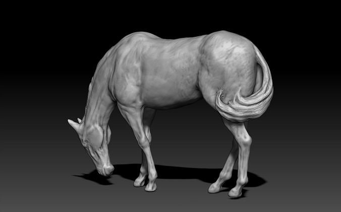 A Horse Grazing 3D print model