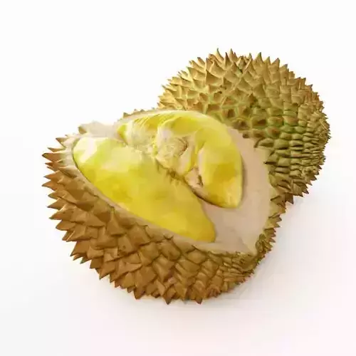 Leeche Nut Berry 3D model