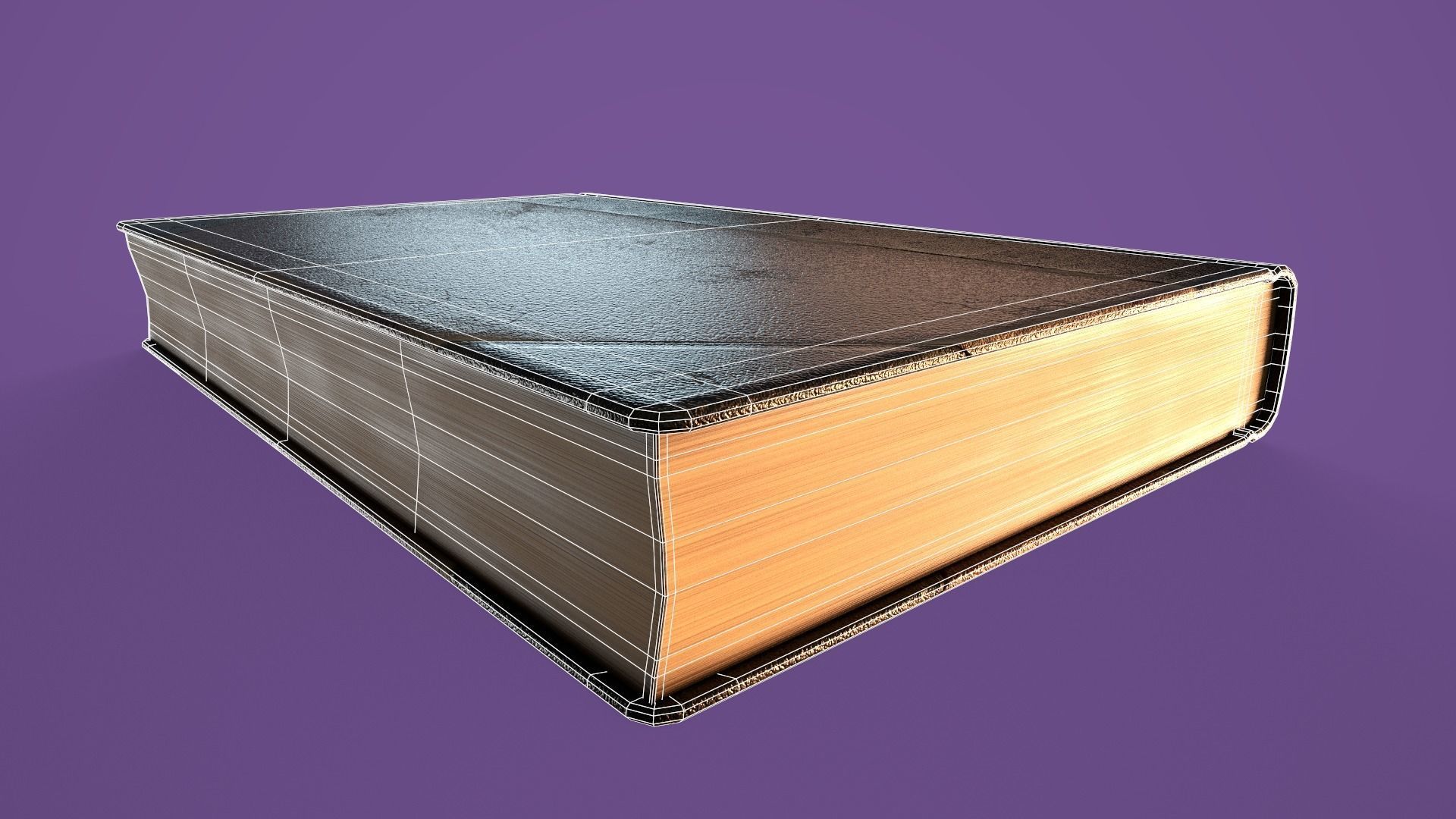 Old Worn Book Low-poly 3D model_12