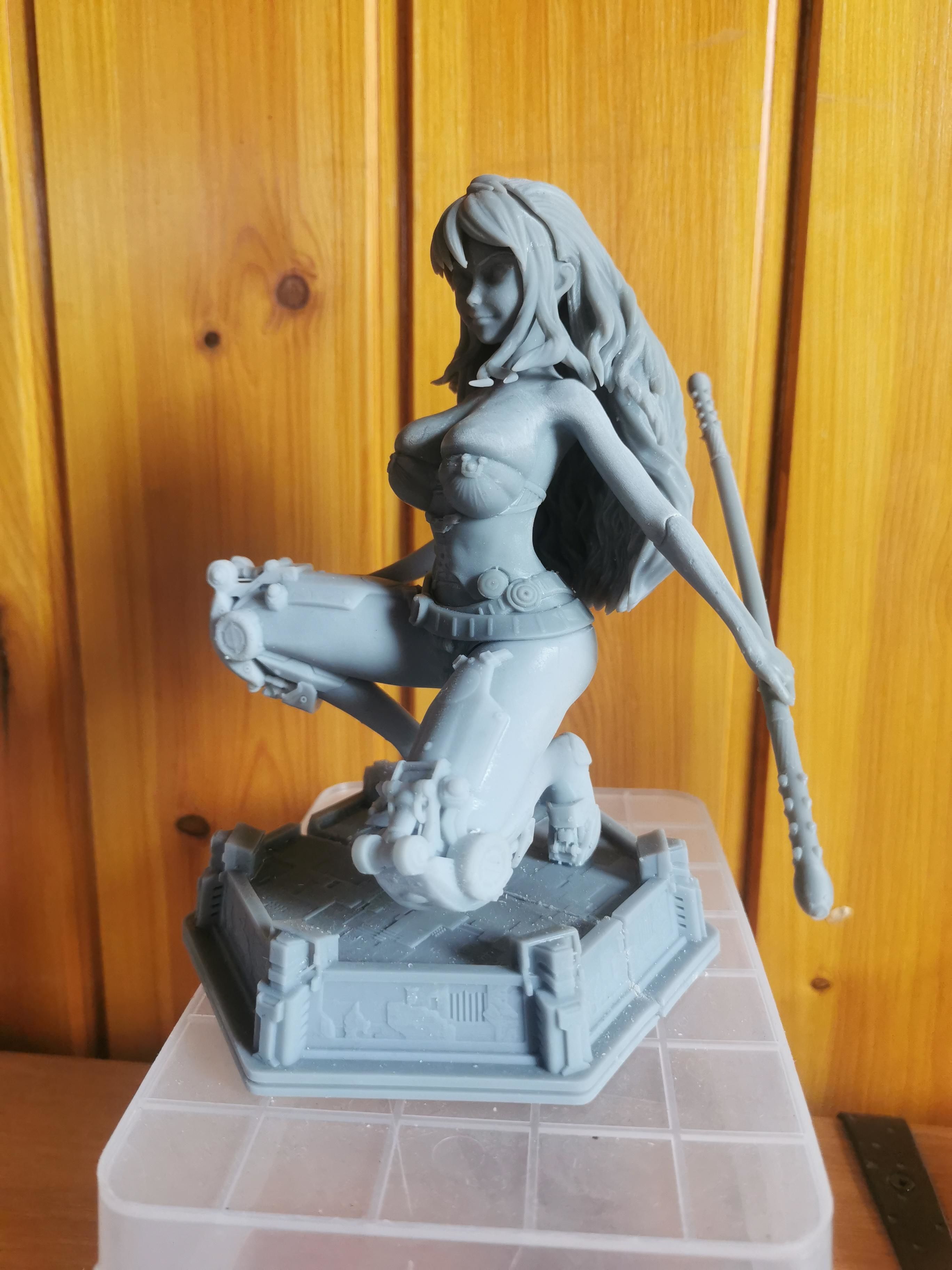 Female Cyborg - Concept Design 3D print model_7