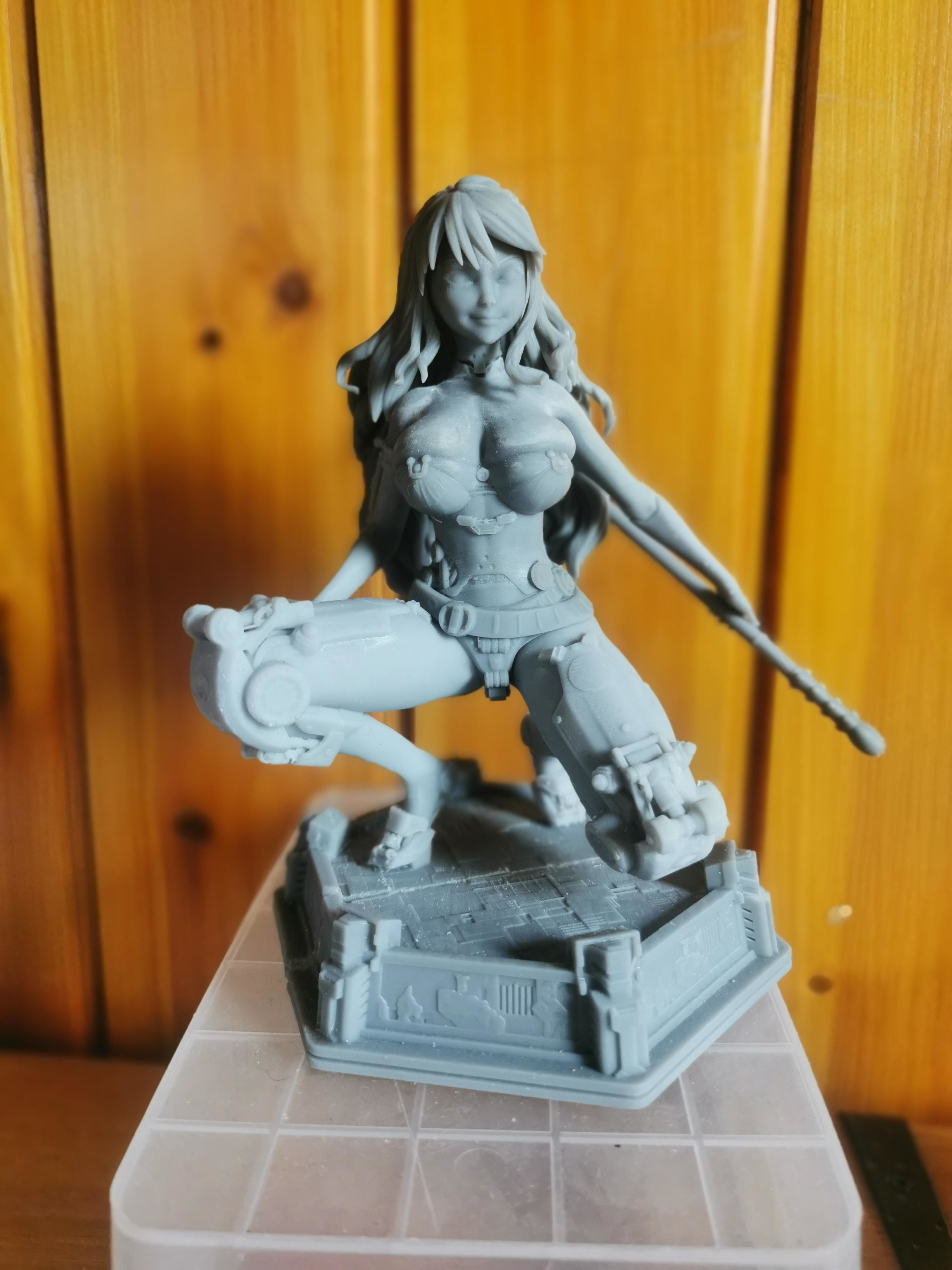 Female Cyborg - Concept Design 3D print model_6