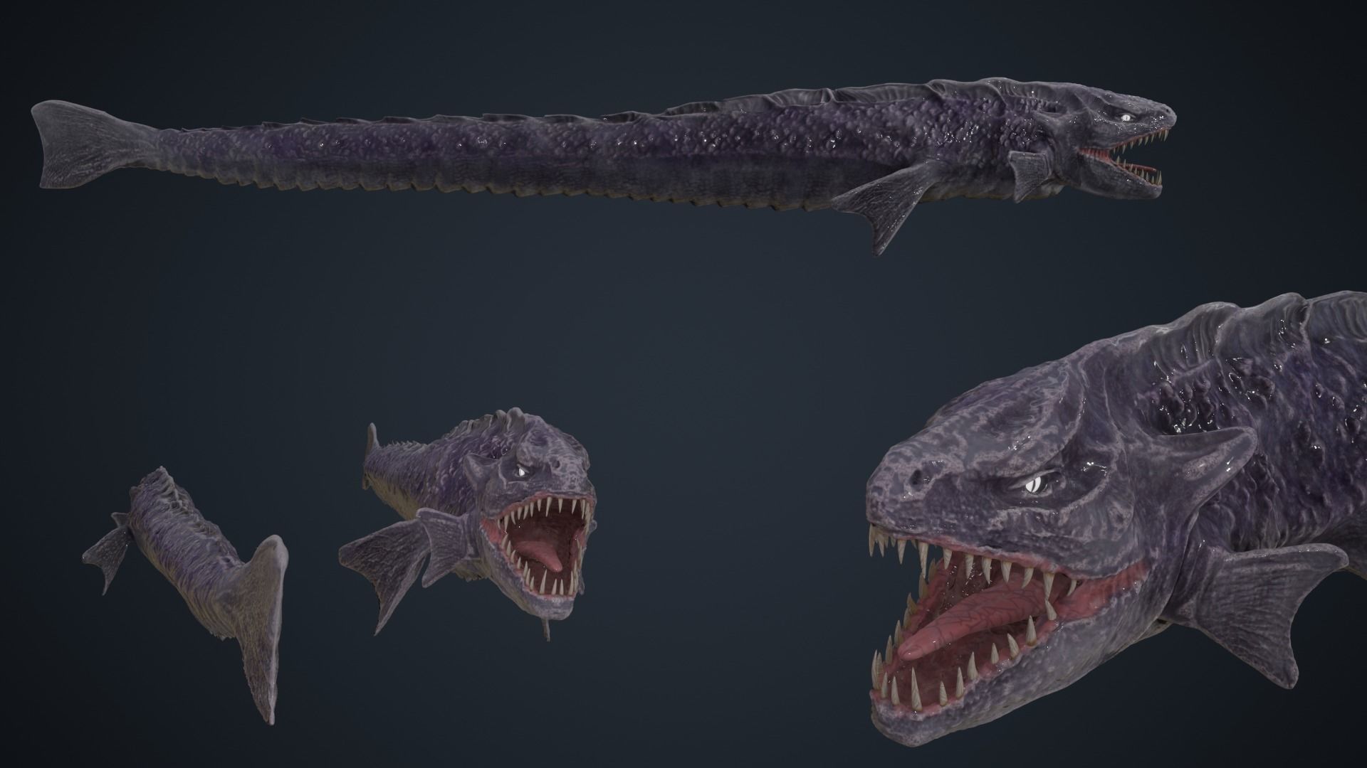Sea snake Low-poly 3D model_11