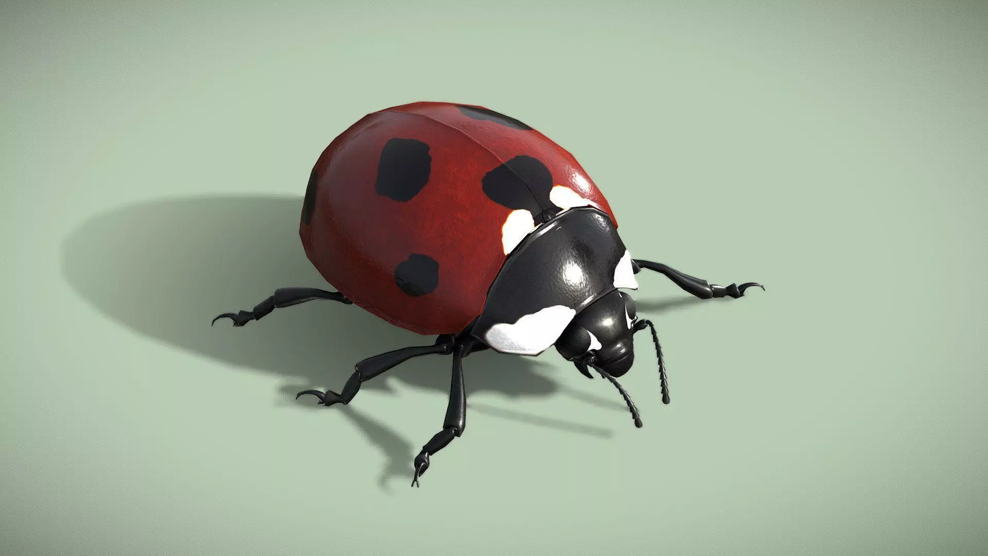 LadyBug Low-poly 3D model_0
